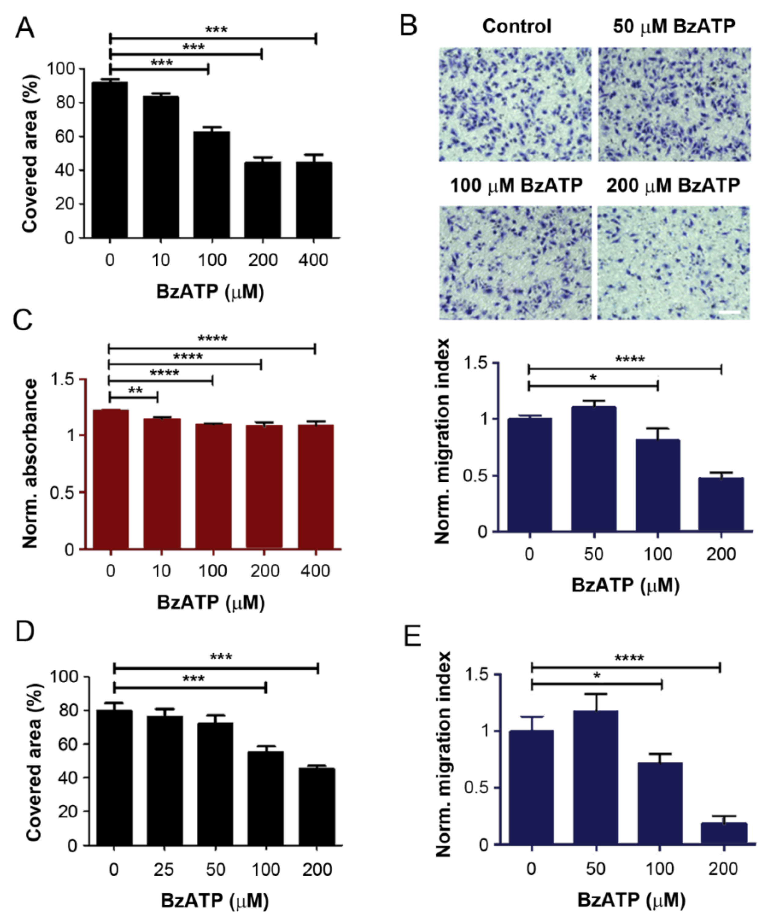 Cancers 13 04293 g002
