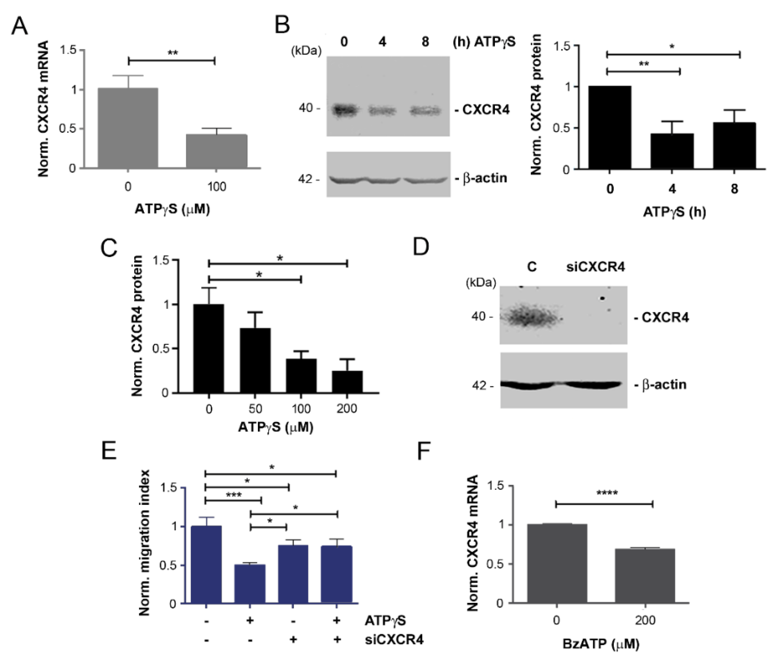 Cancers 13 04293 g003