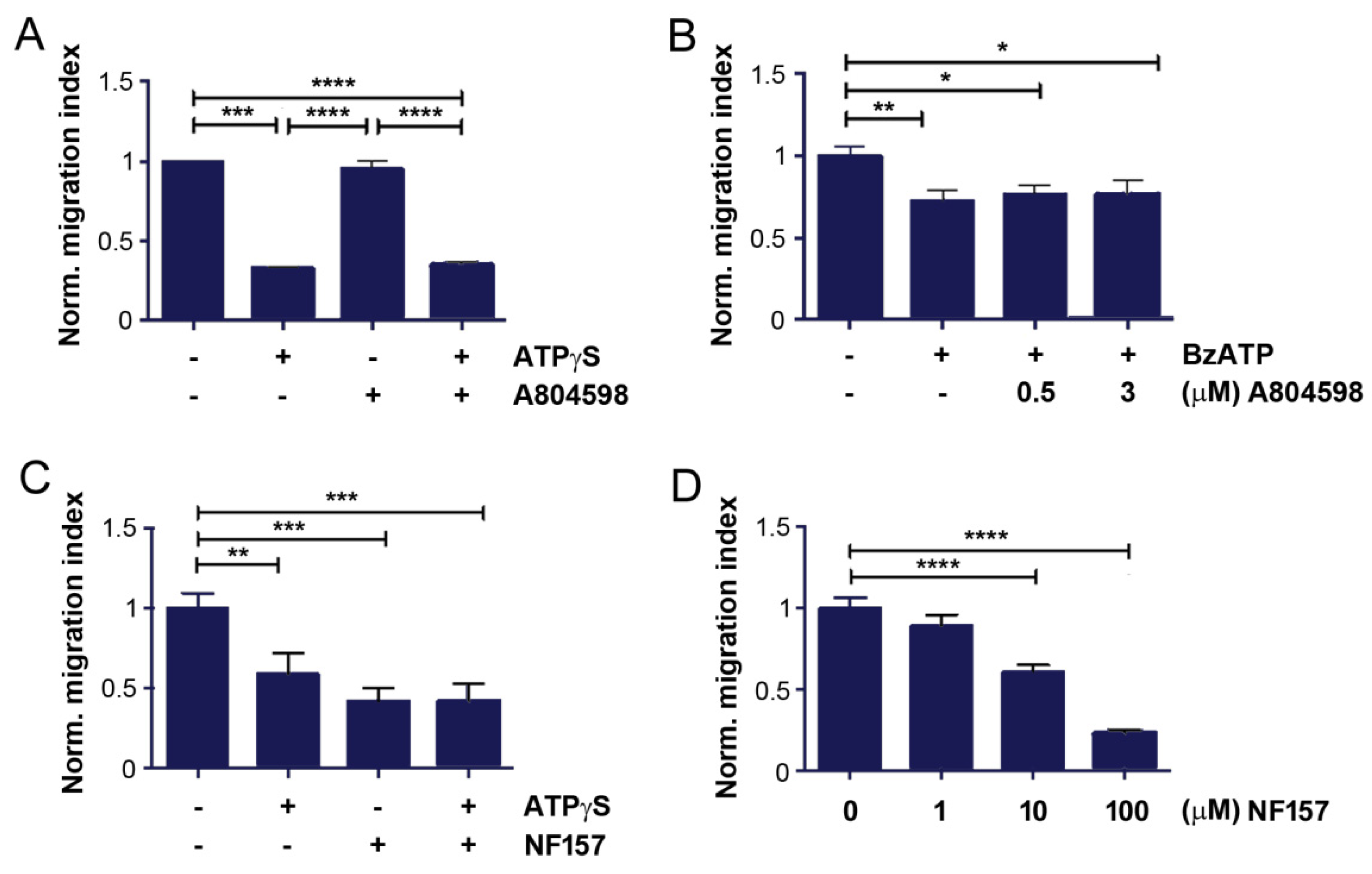 Cancers 13 04293 g004