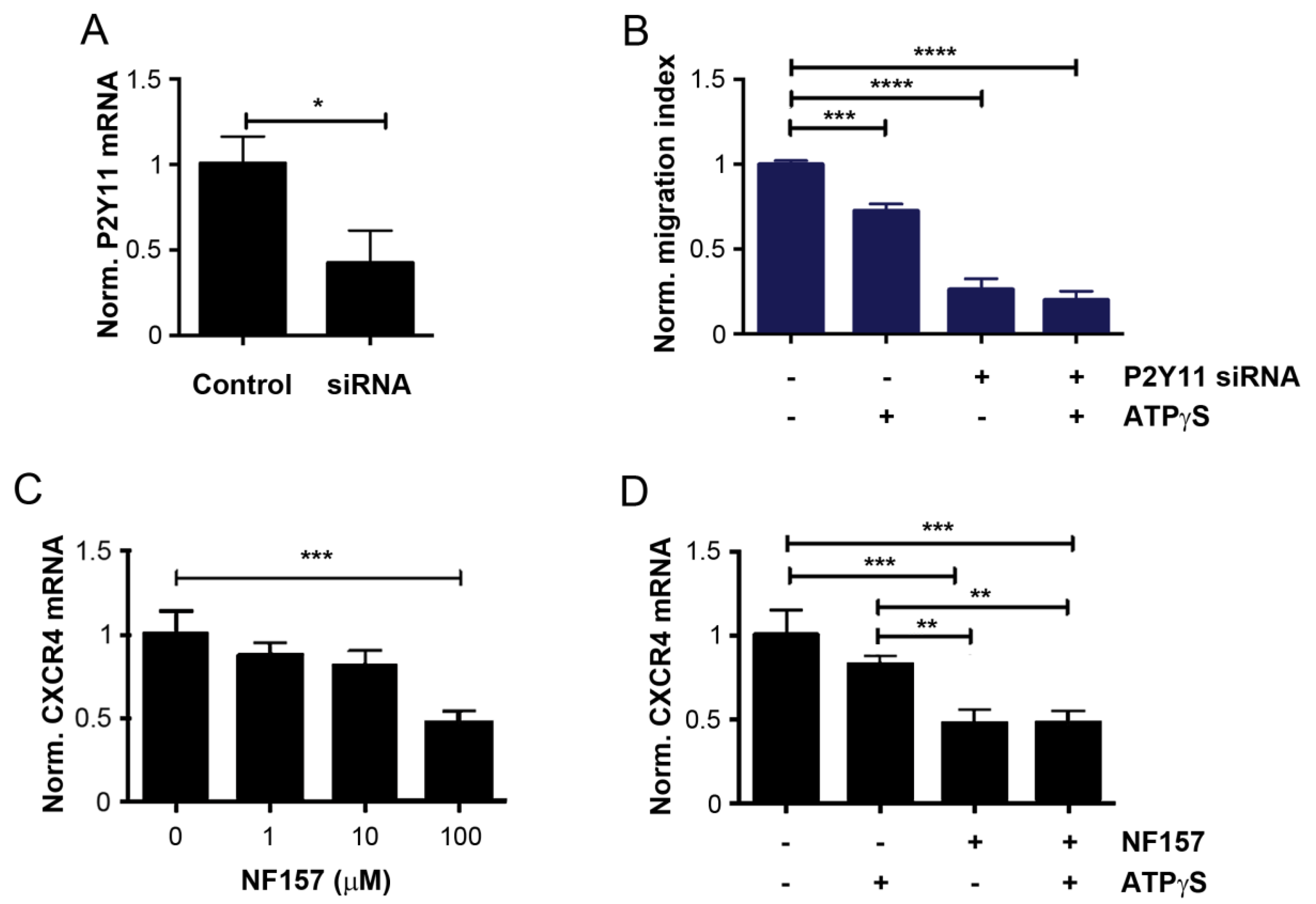 Cancers 13 04293 g005