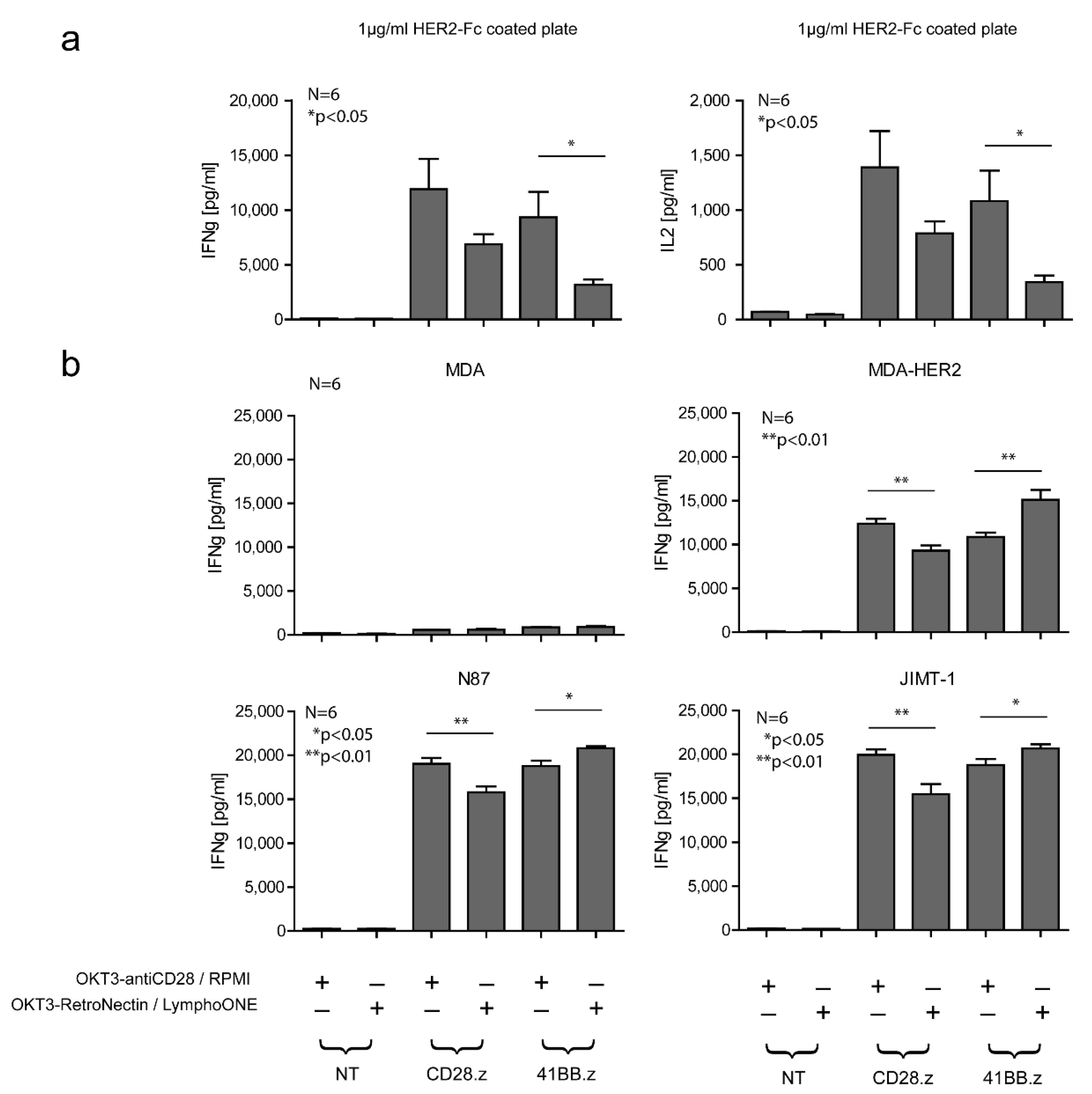 Cancers 13 04301 g002