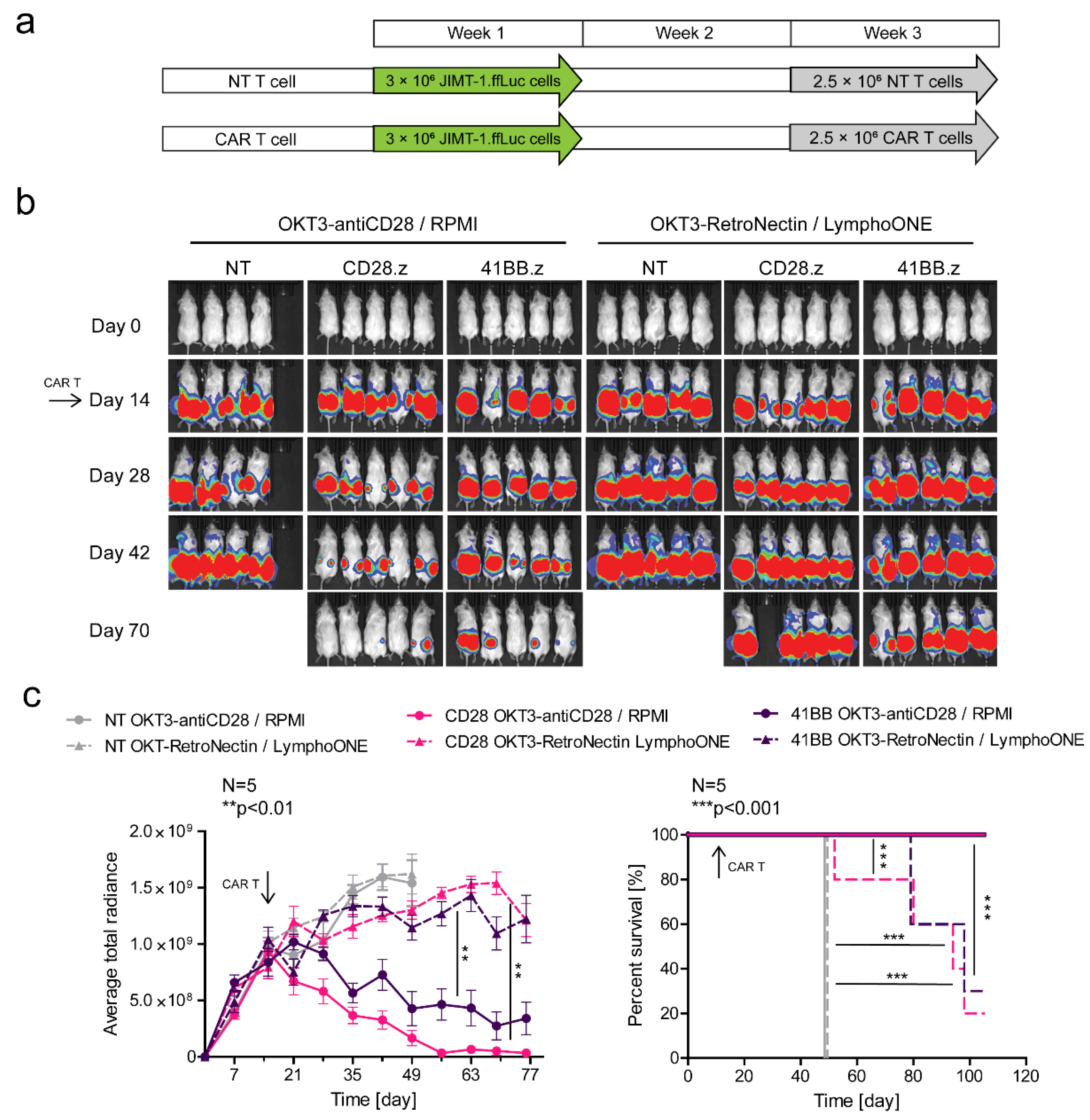 Cancers 13 04301 g005