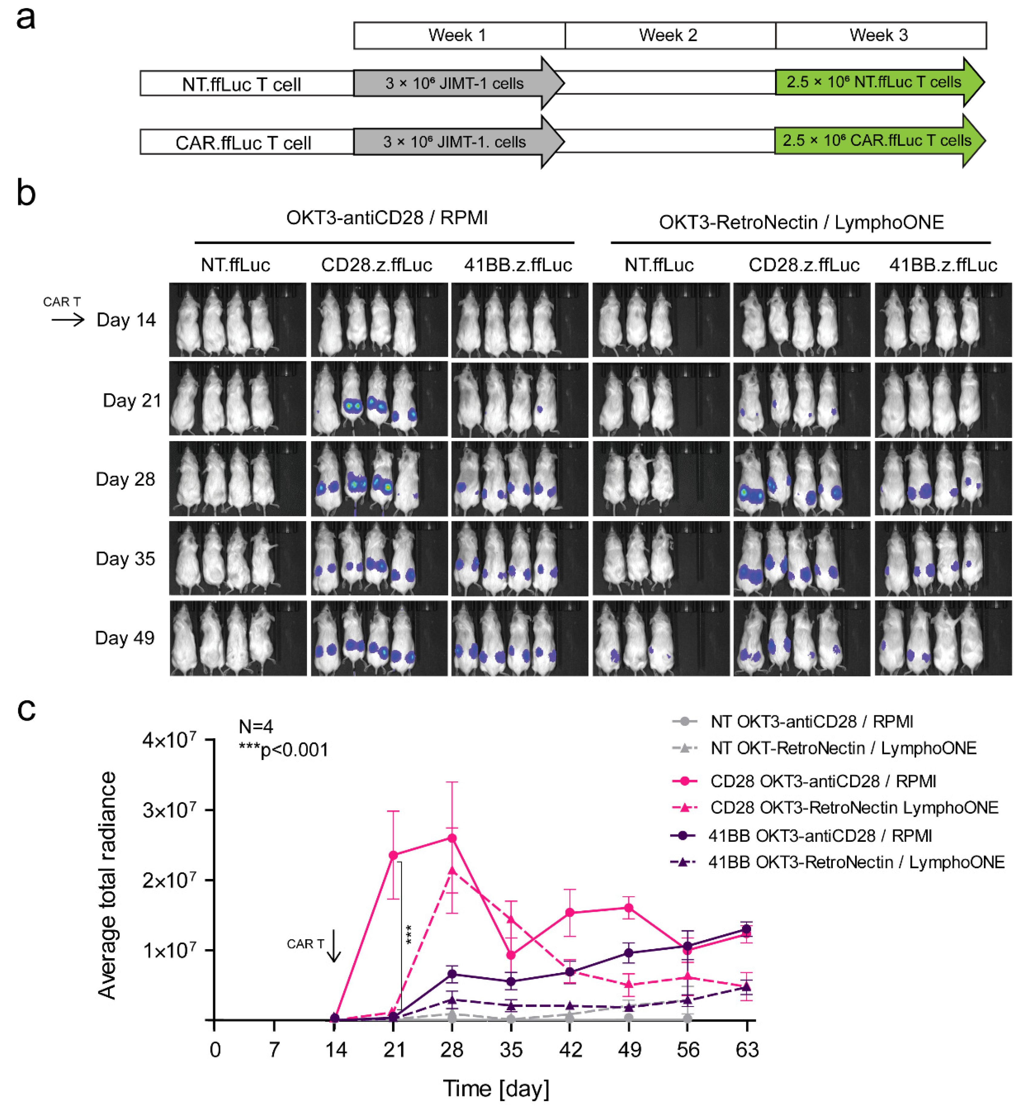 Cancers 13 04301 g006