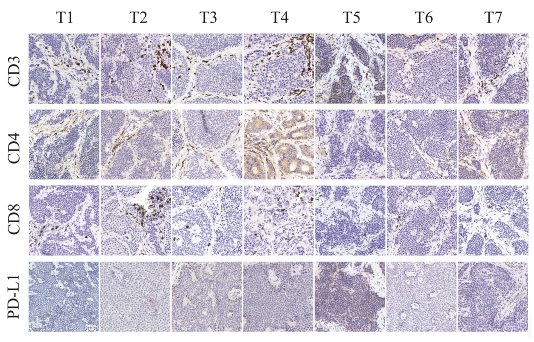 Cancers 13 04305 g003