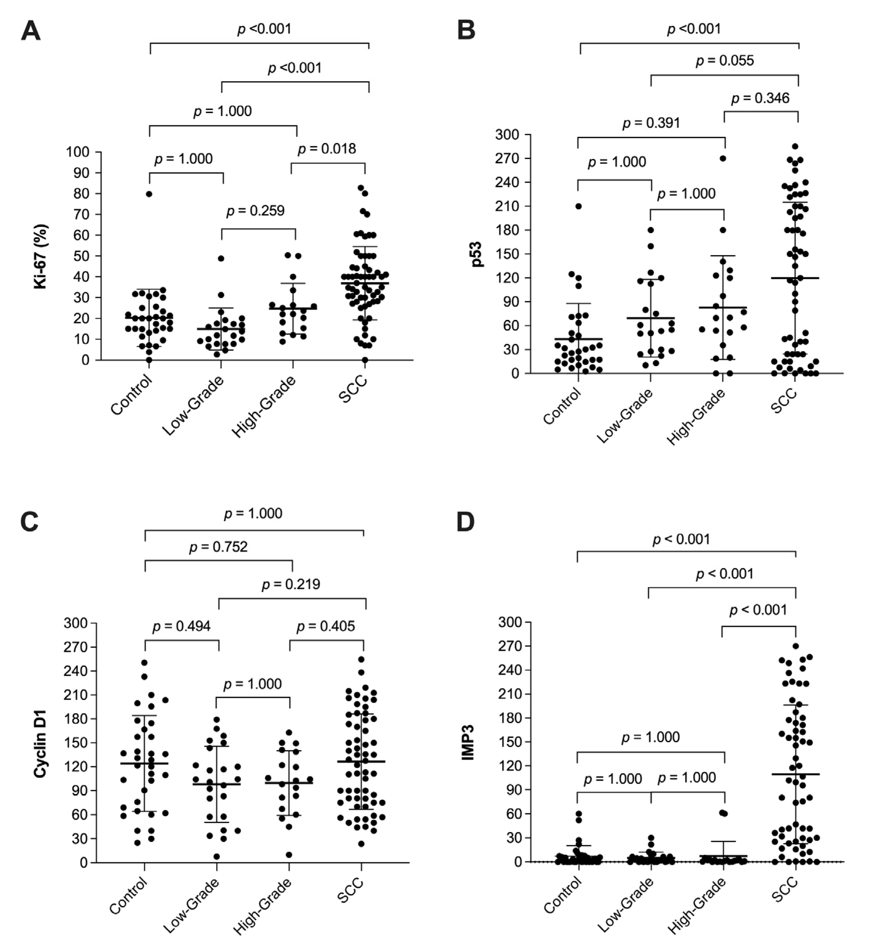 Cancers 13 04306 g001