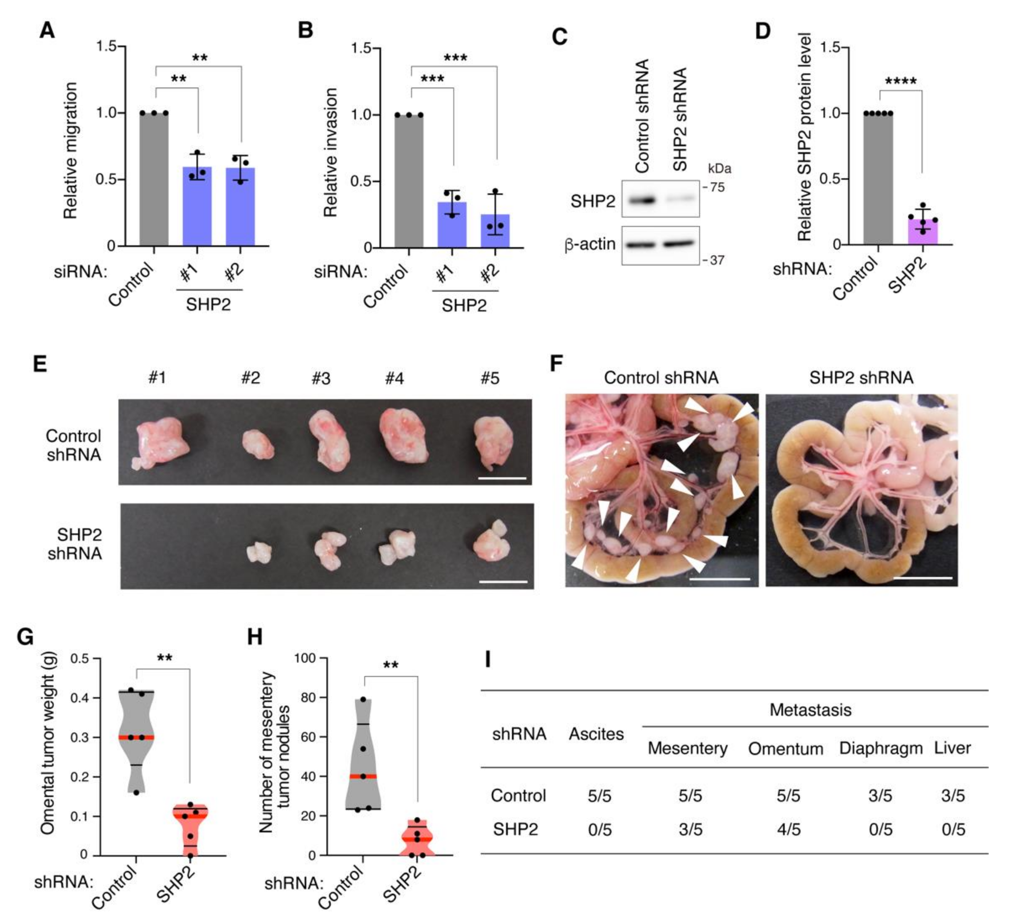 Cancers 13 04309 g004