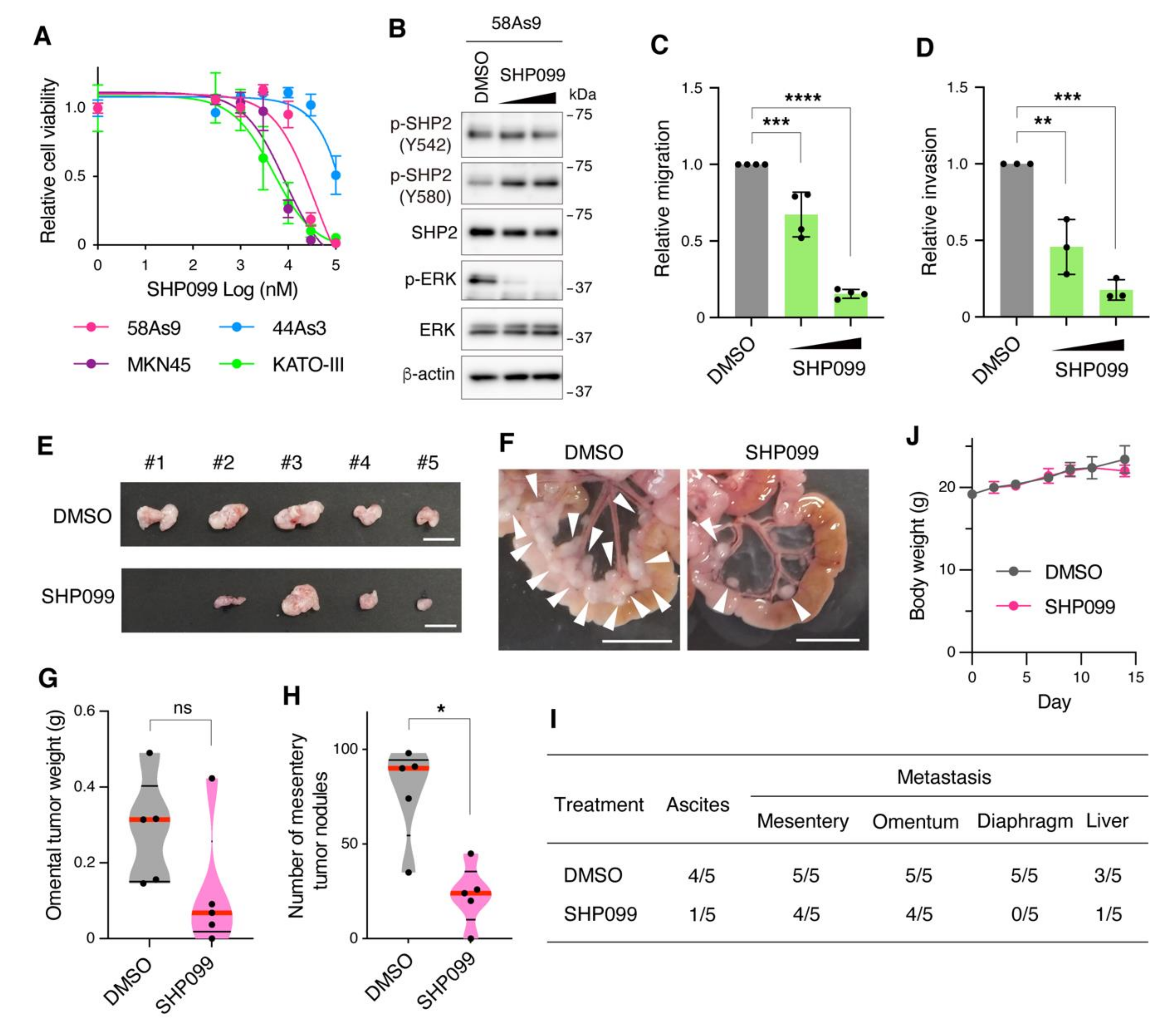 Cancers 13 04309 g005