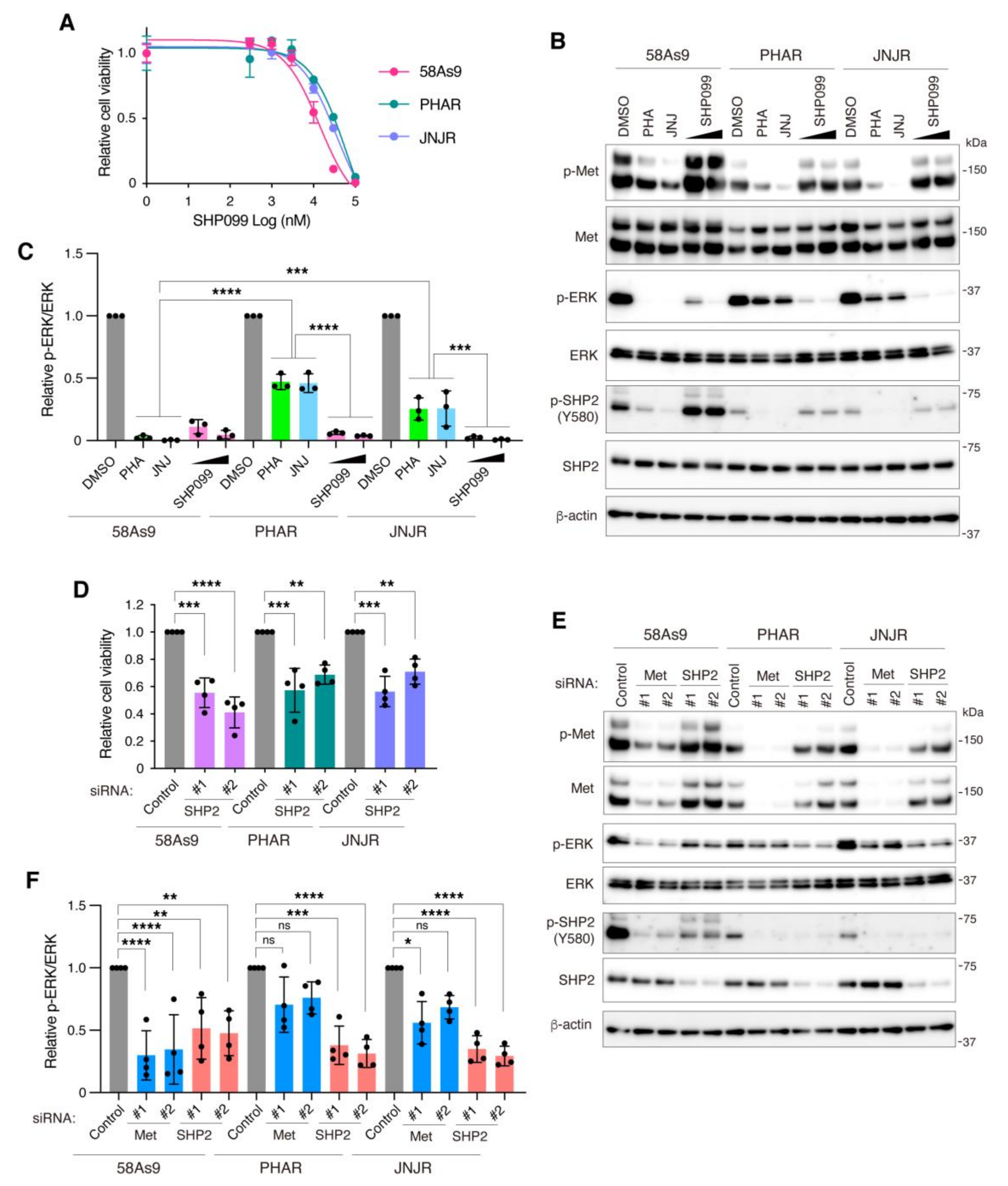 Cancers 13 04309 g006