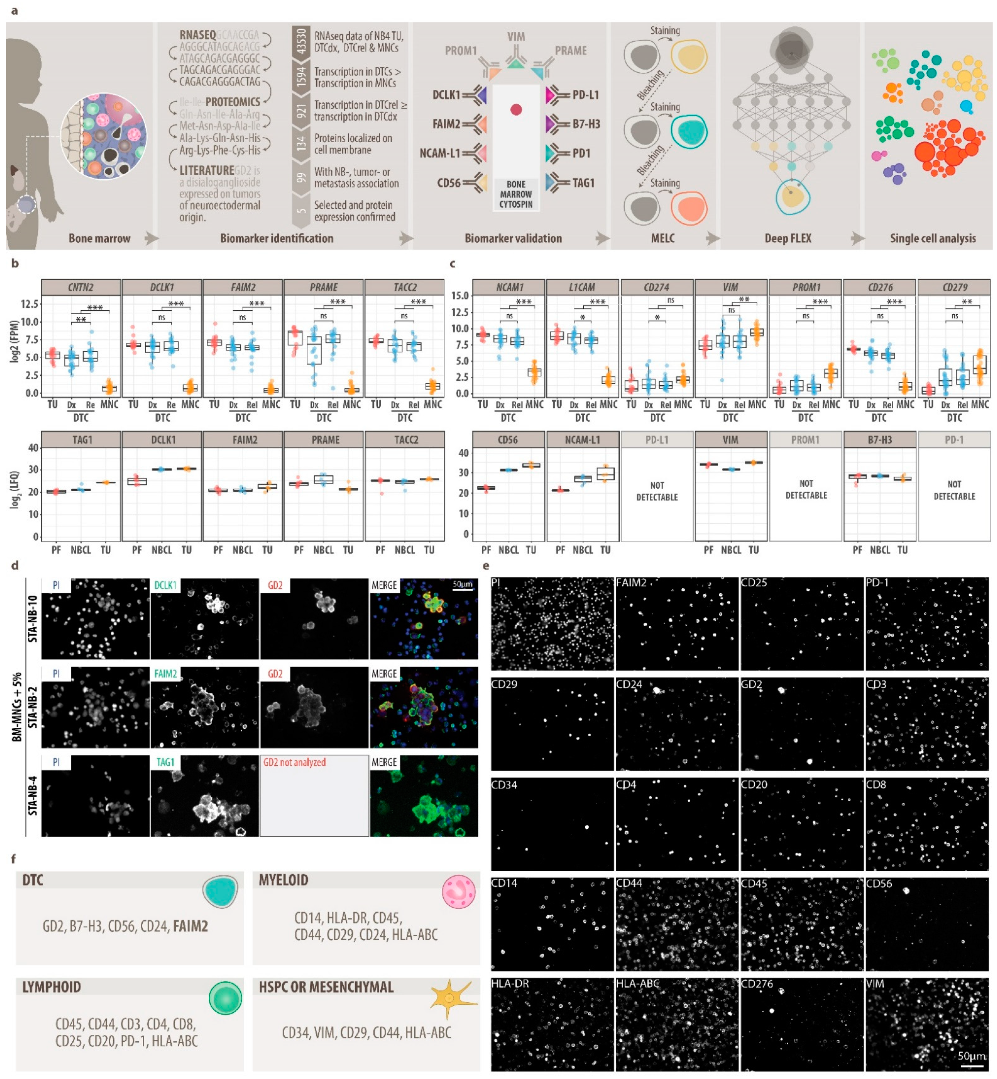 Cancers 13 04311 g001