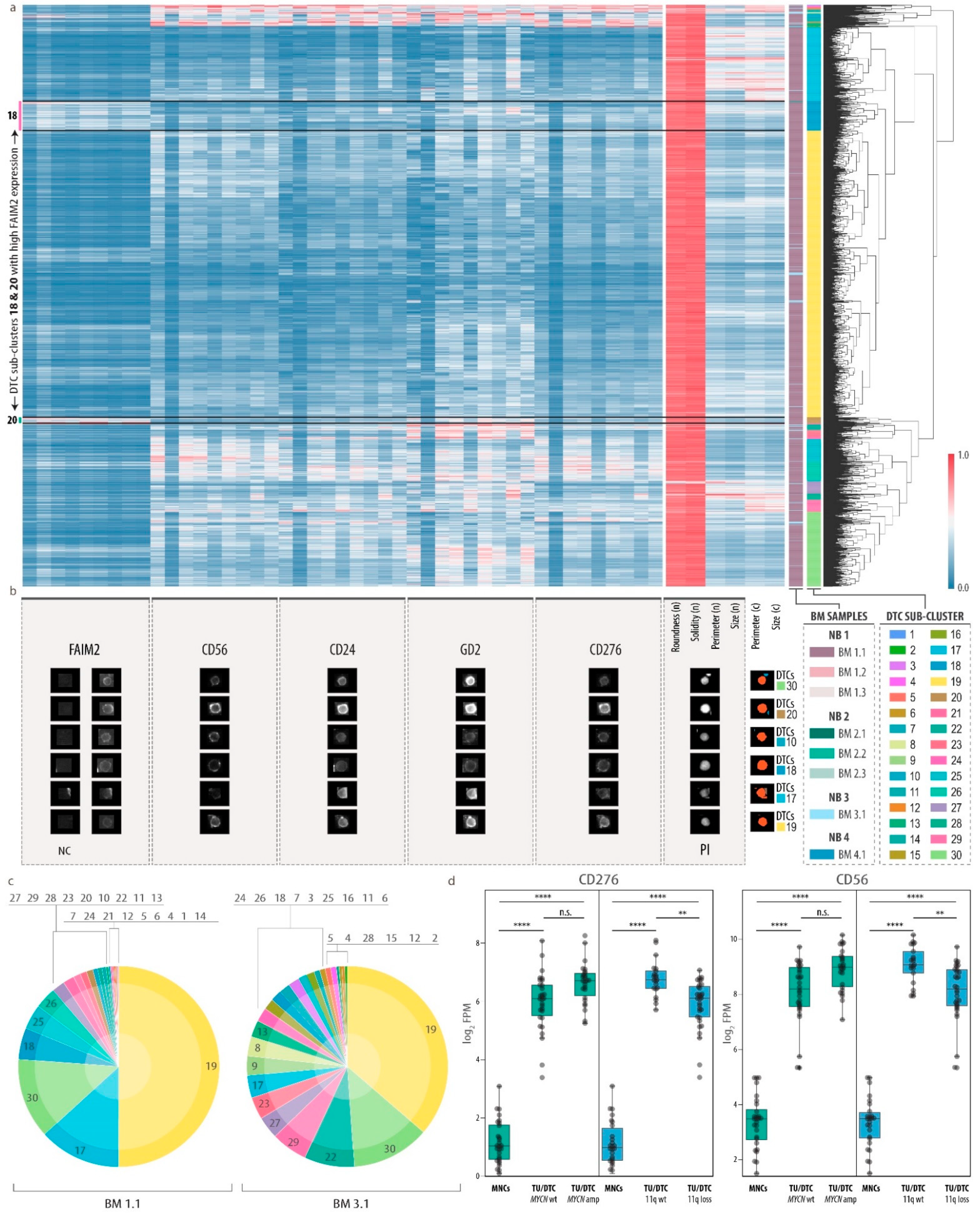 Cancers 13 04311 g004