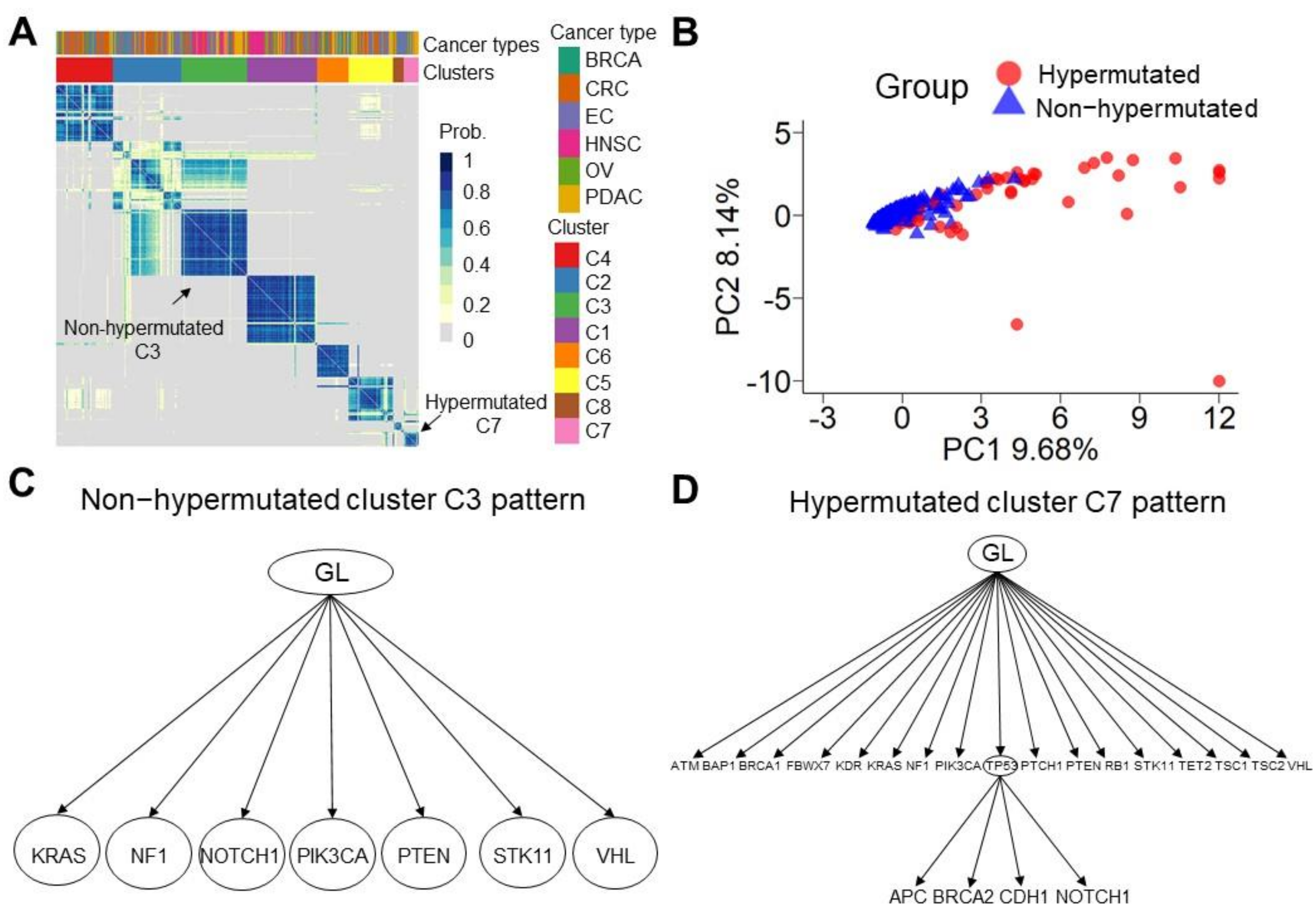 Cancers 13 04317 g004
