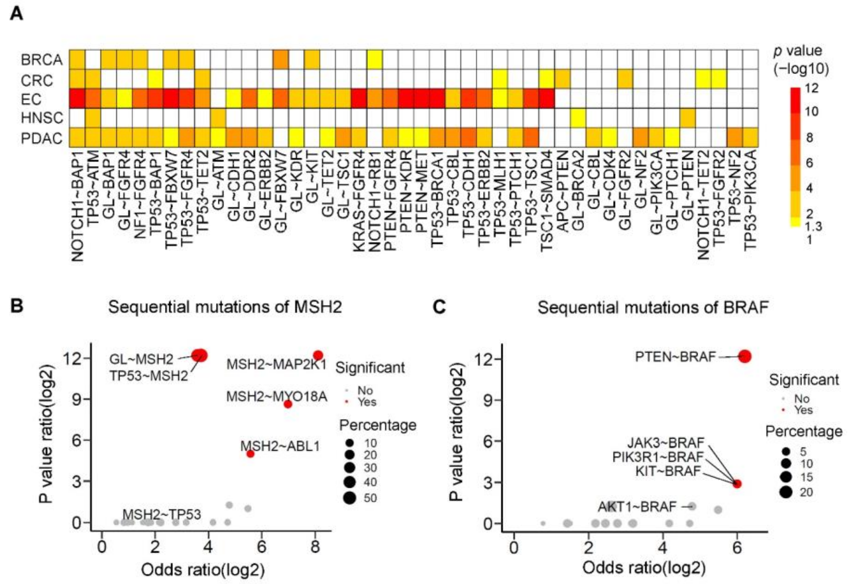 Cancers 13 04317 g006