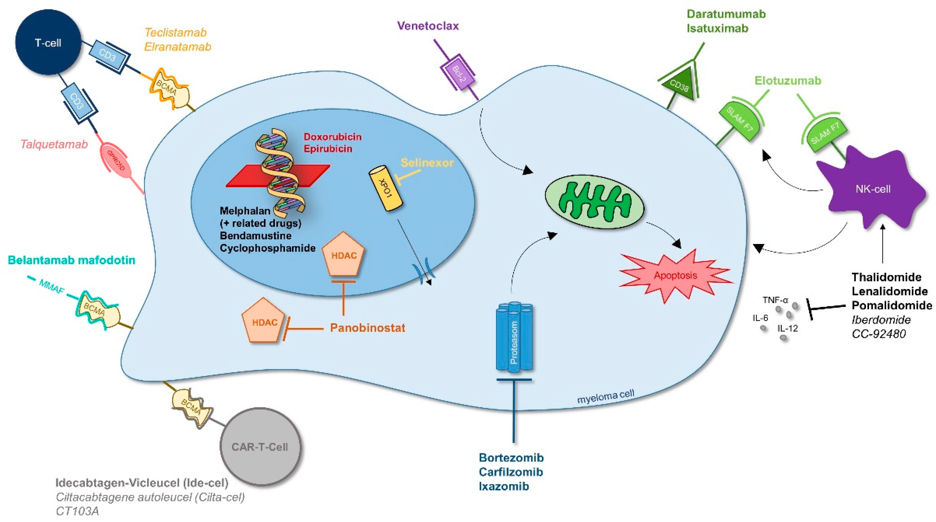 Cancers 13 04320 g006