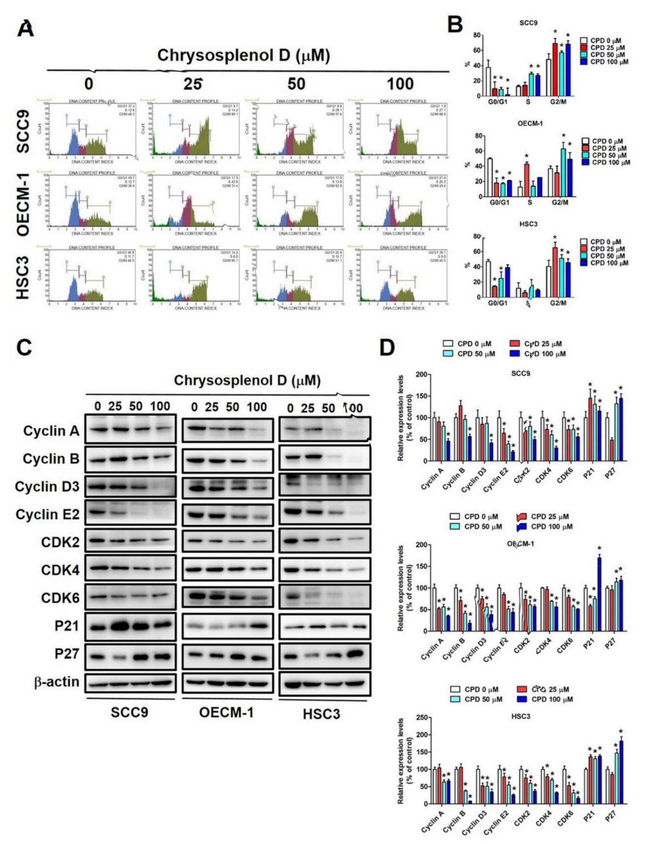Cancers 13 04327 g002