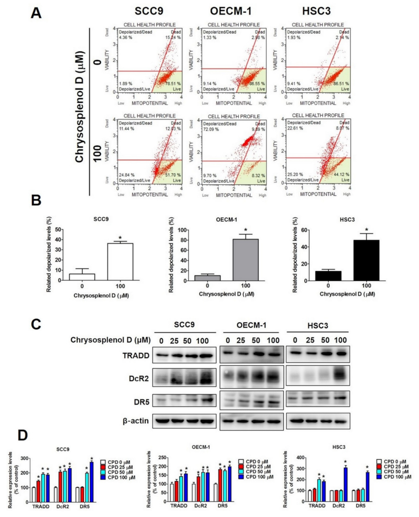 Cancers 13 04327 g004
