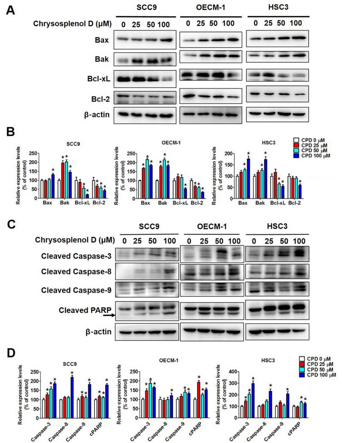 Cancers 13 04327 g005