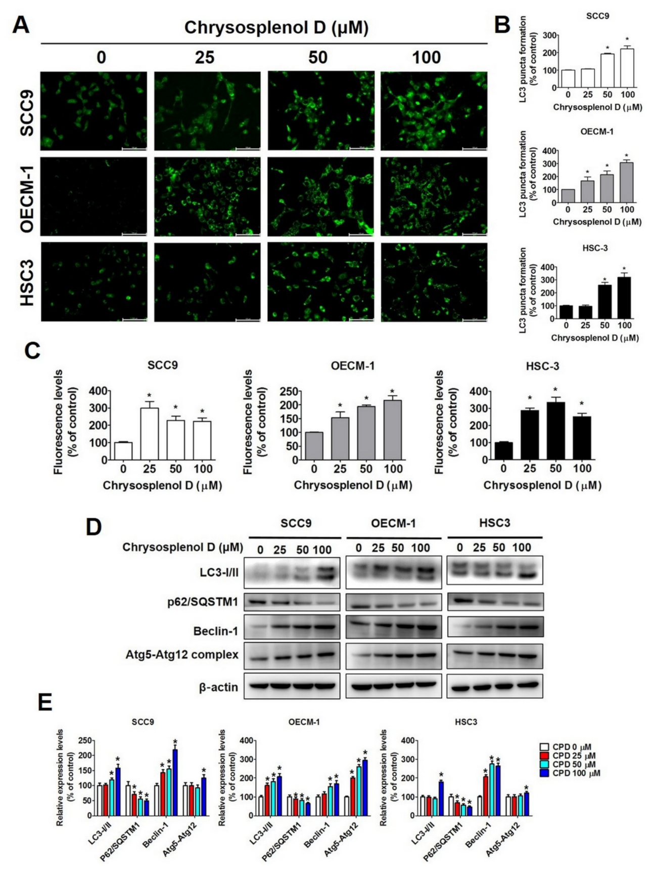 Cancers 13 04327 g006