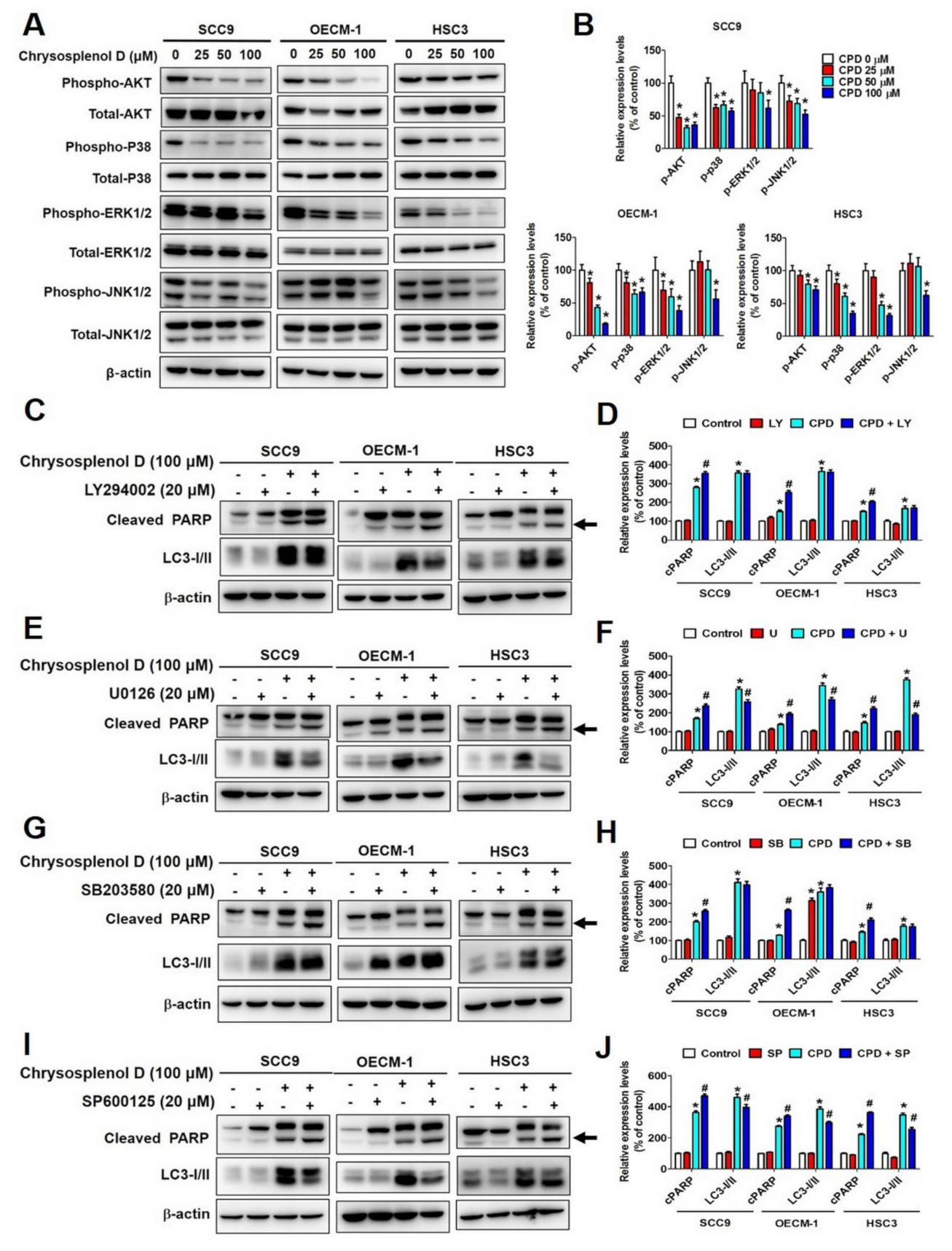 Cancers 13 04327 g007