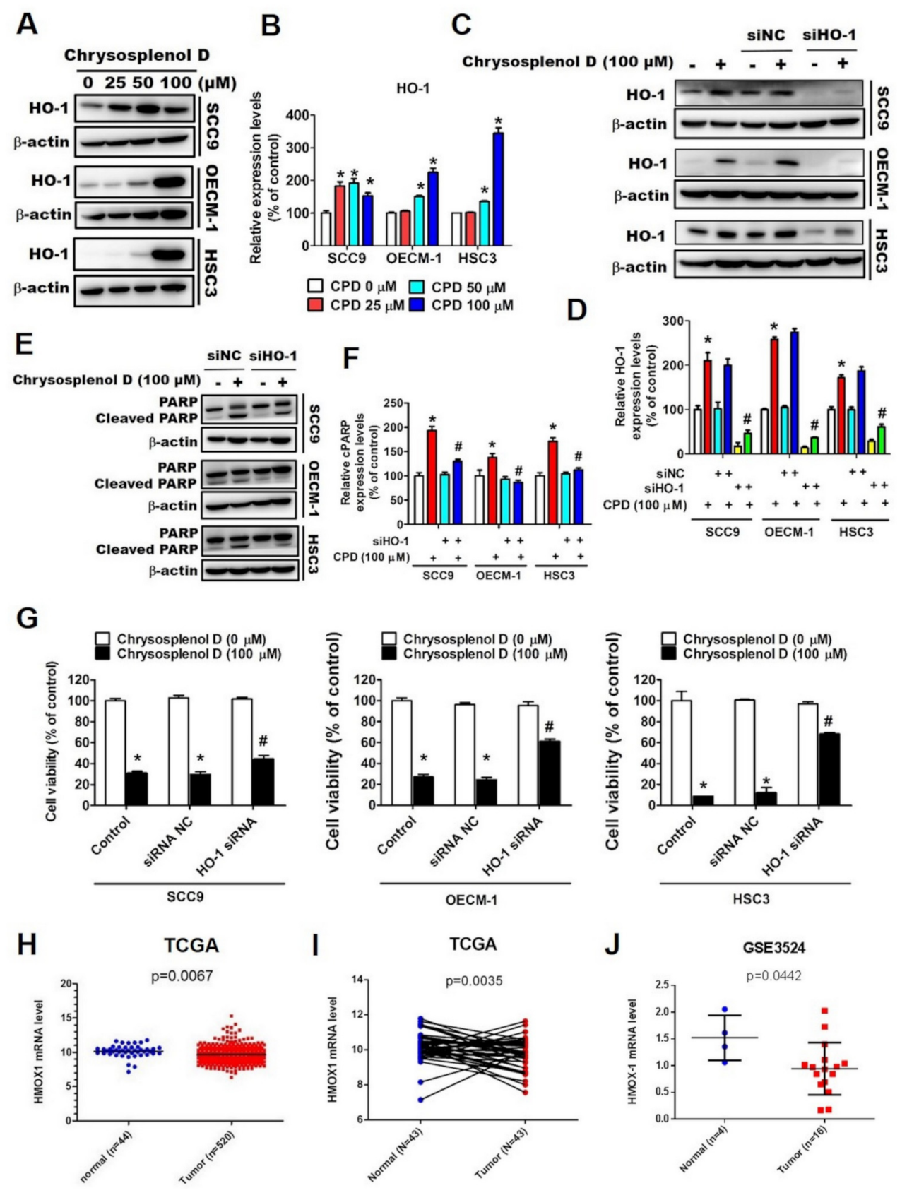 Cancers 13 04327 g008
