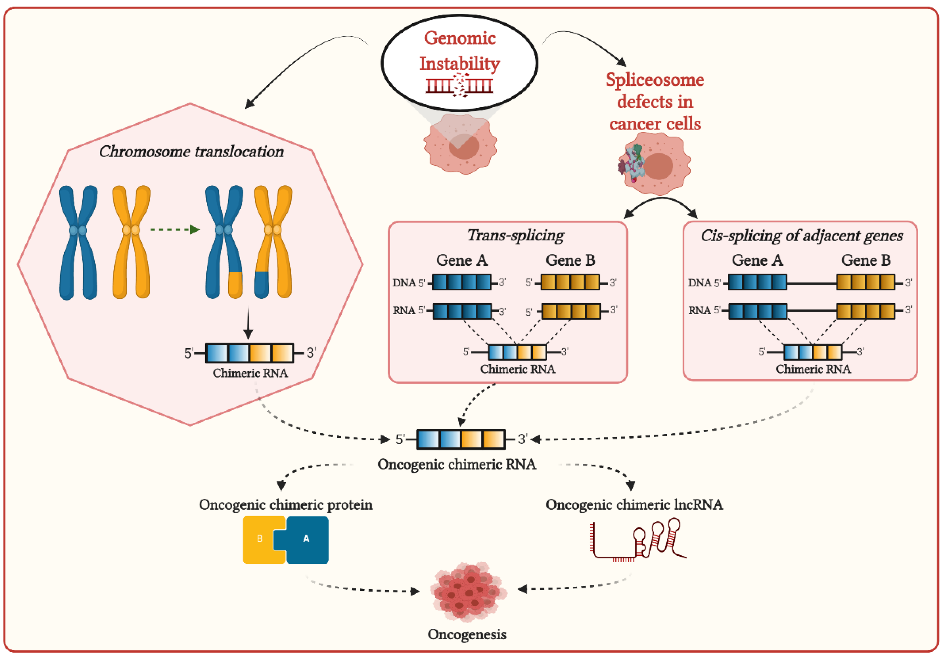 Cancers 13 04328 g001