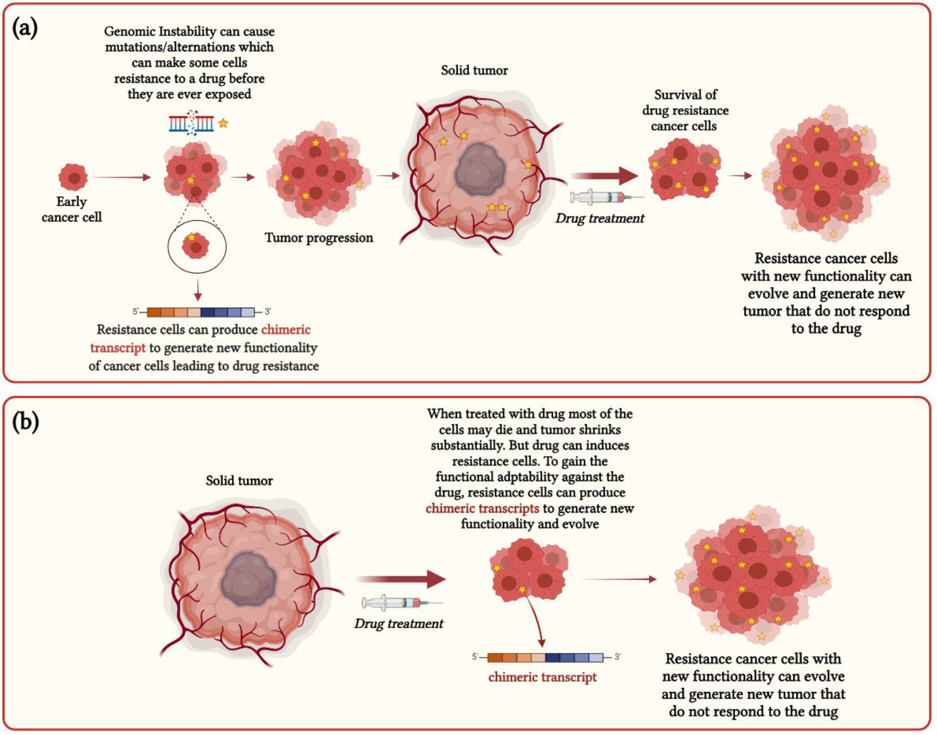 Cancers 13 04328 g002