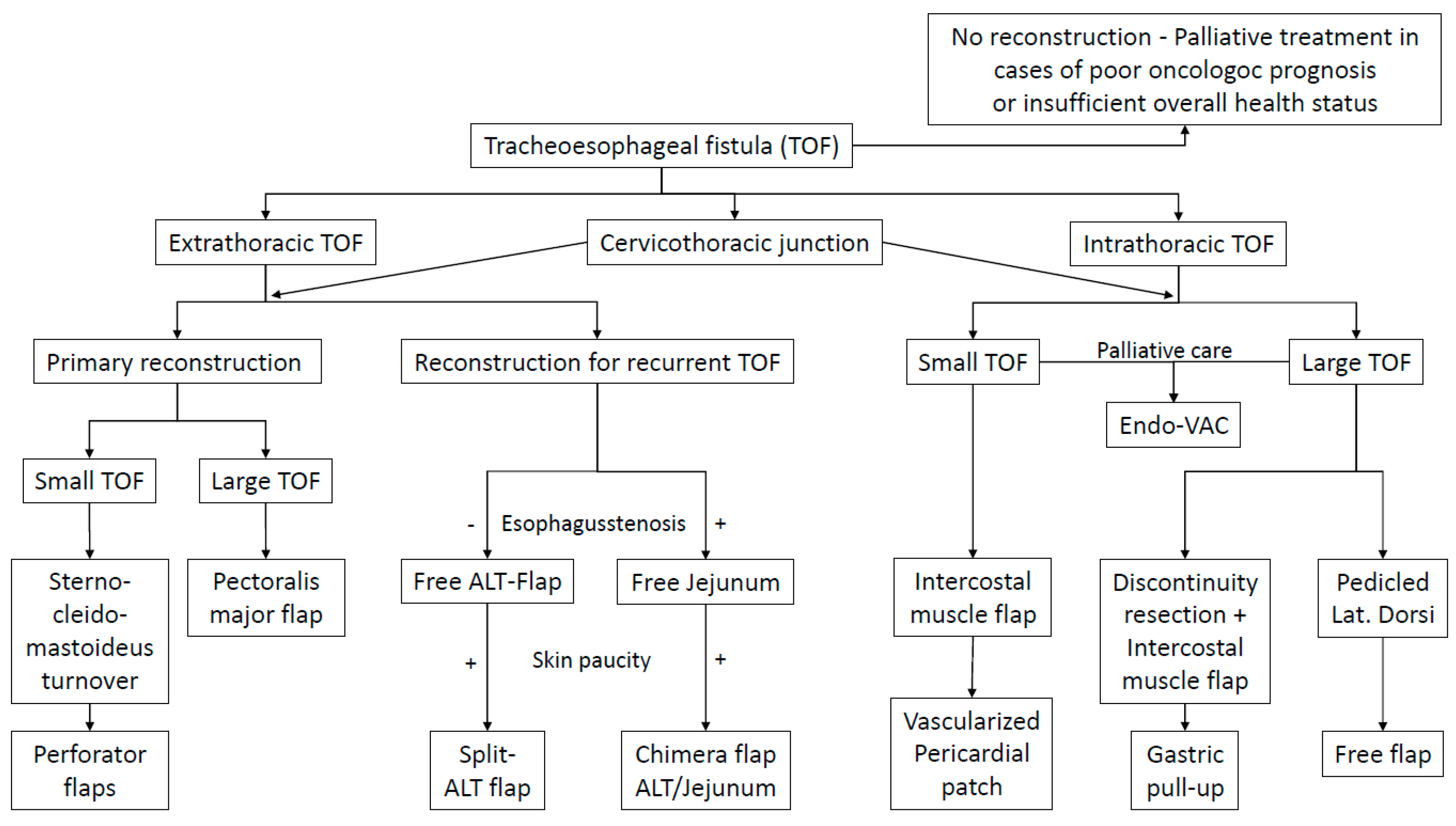 Cancers 13 04329 g005