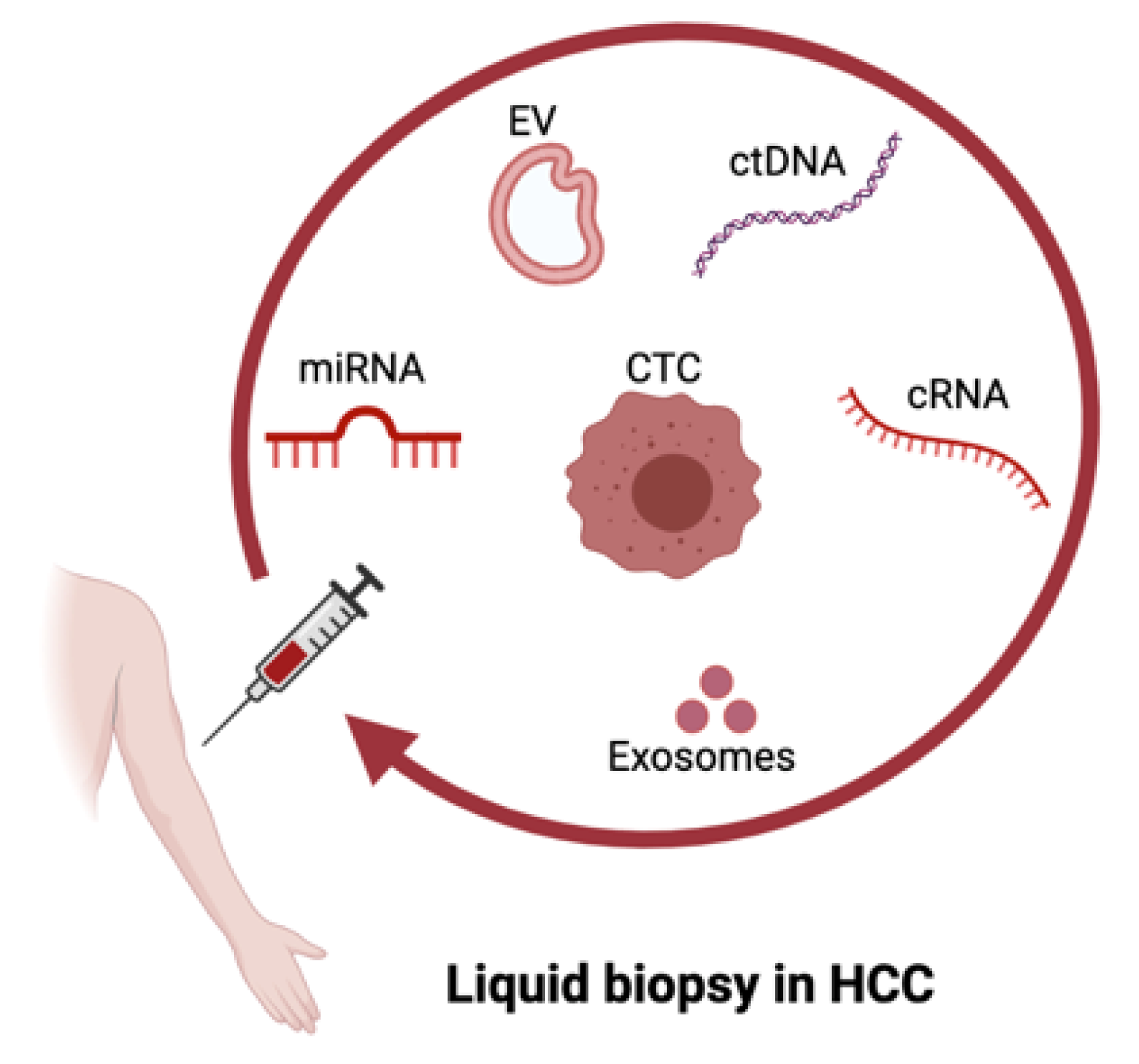 Cancers 13 04334 g001