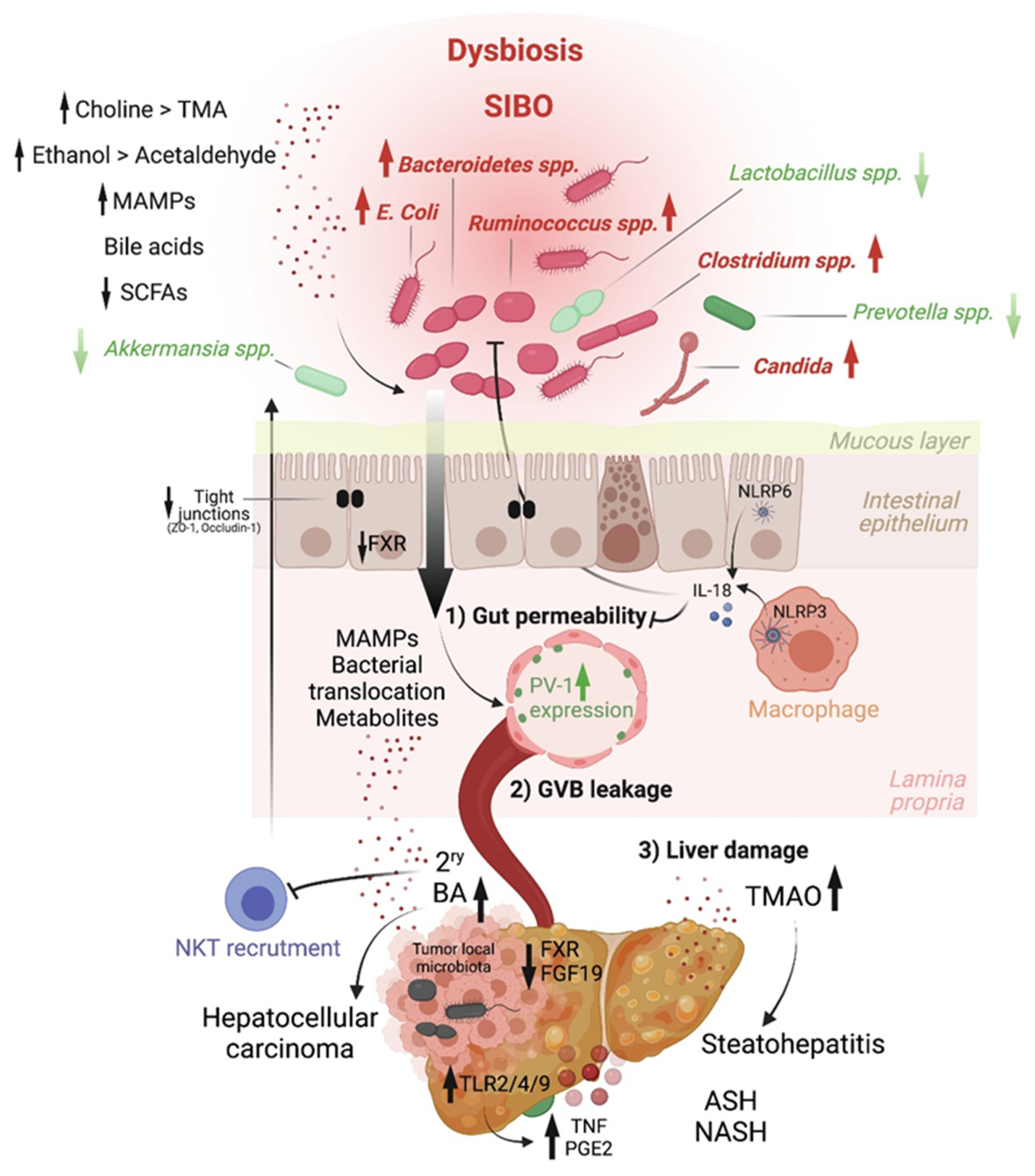 Cancers 13 04342 g002