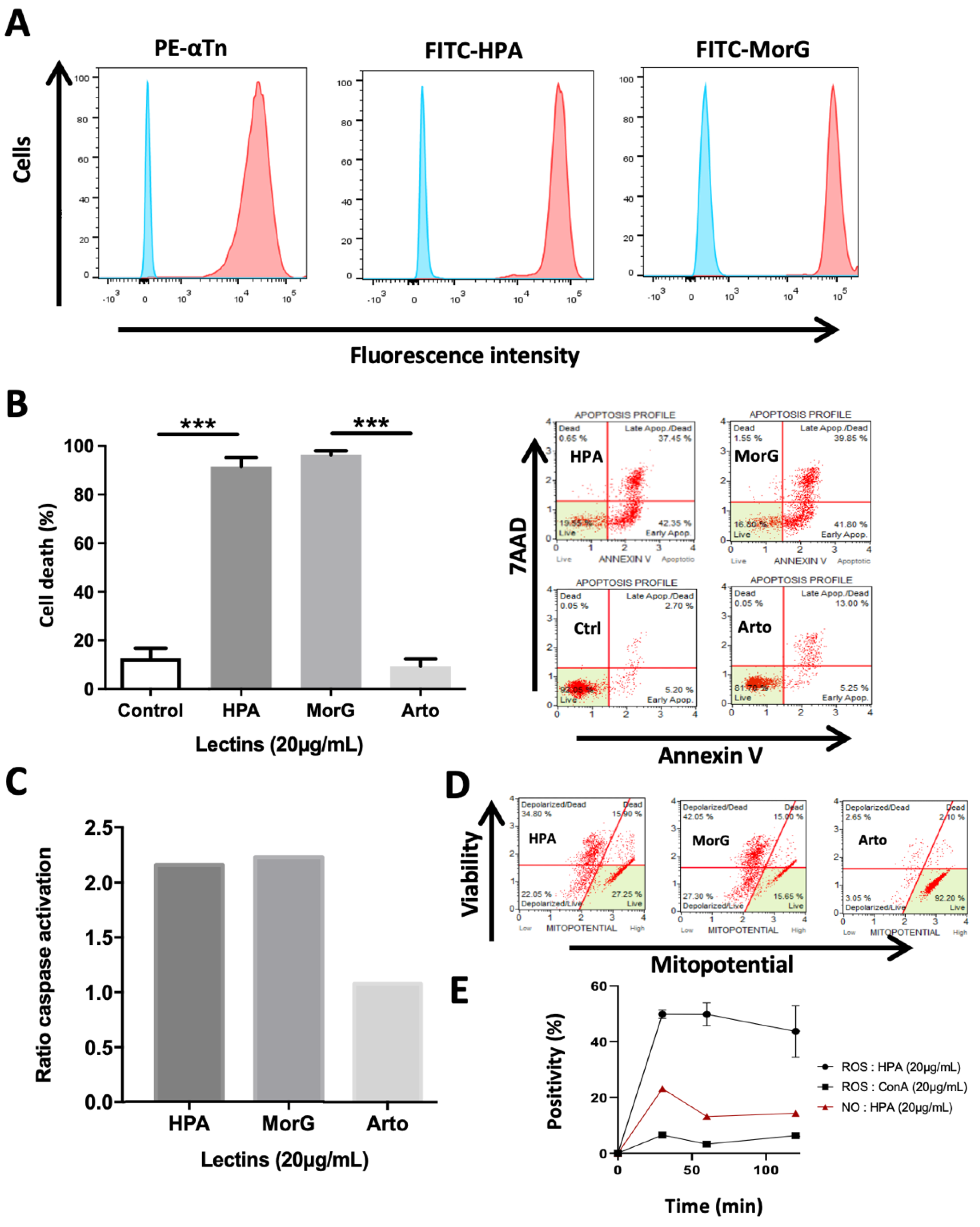 Cancers 13 04356 g001
