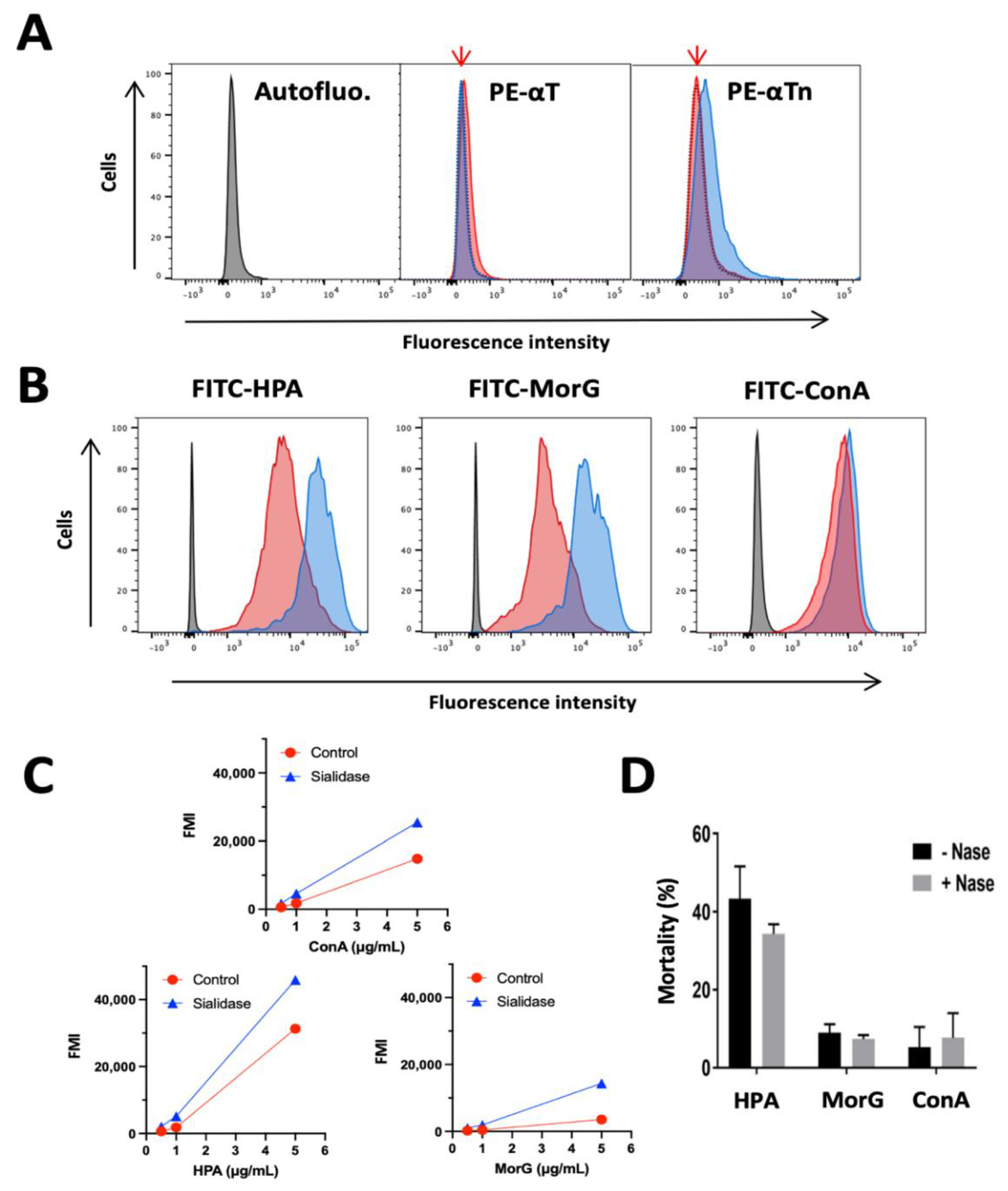 Cancers 13 04356 g004