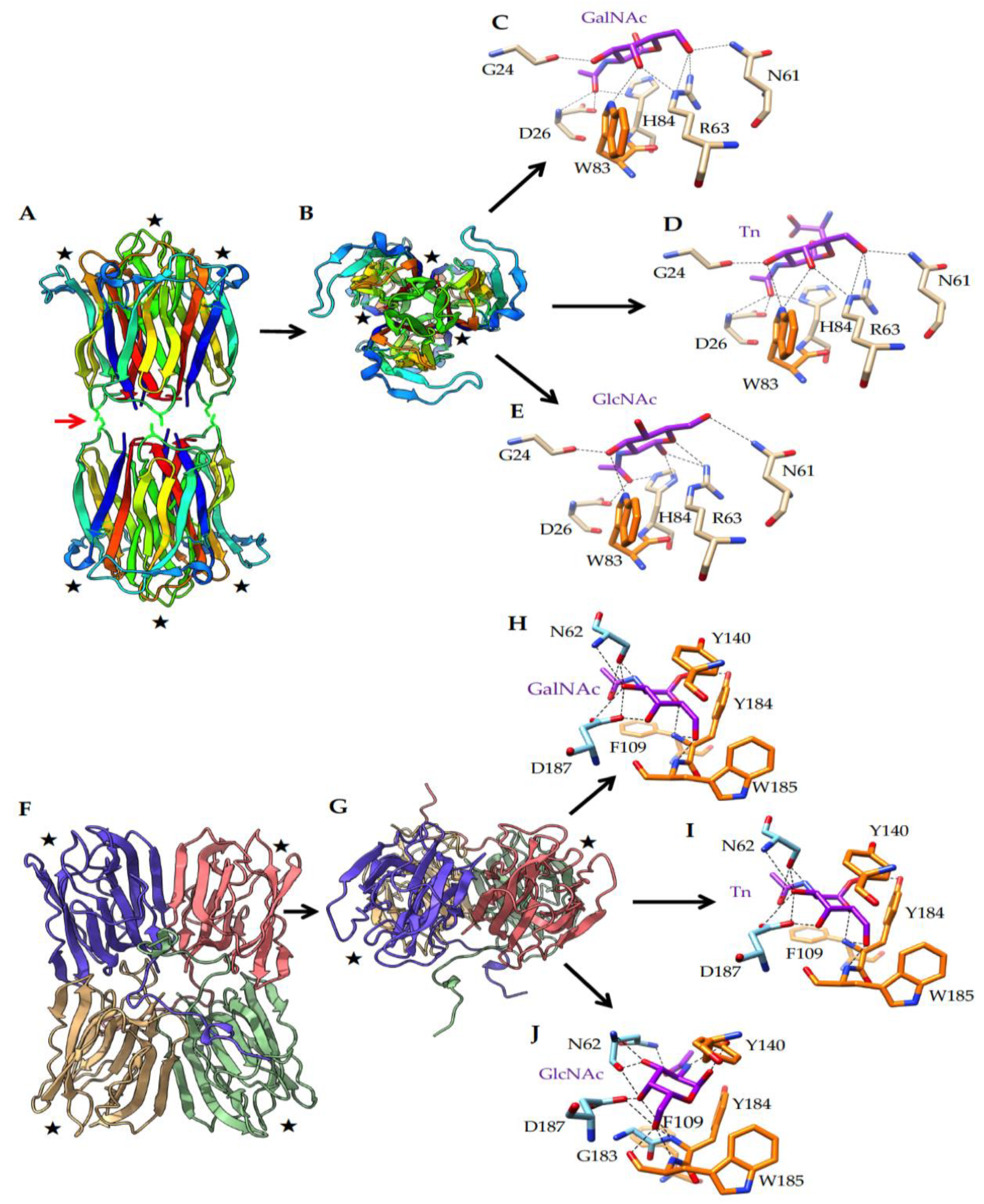 Cancers 13 04356 g005