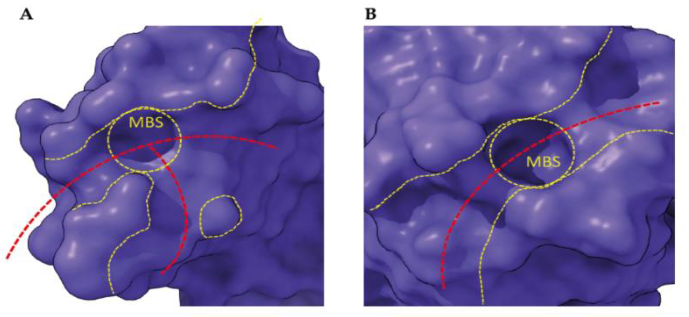 Cancers 13 04356 g006