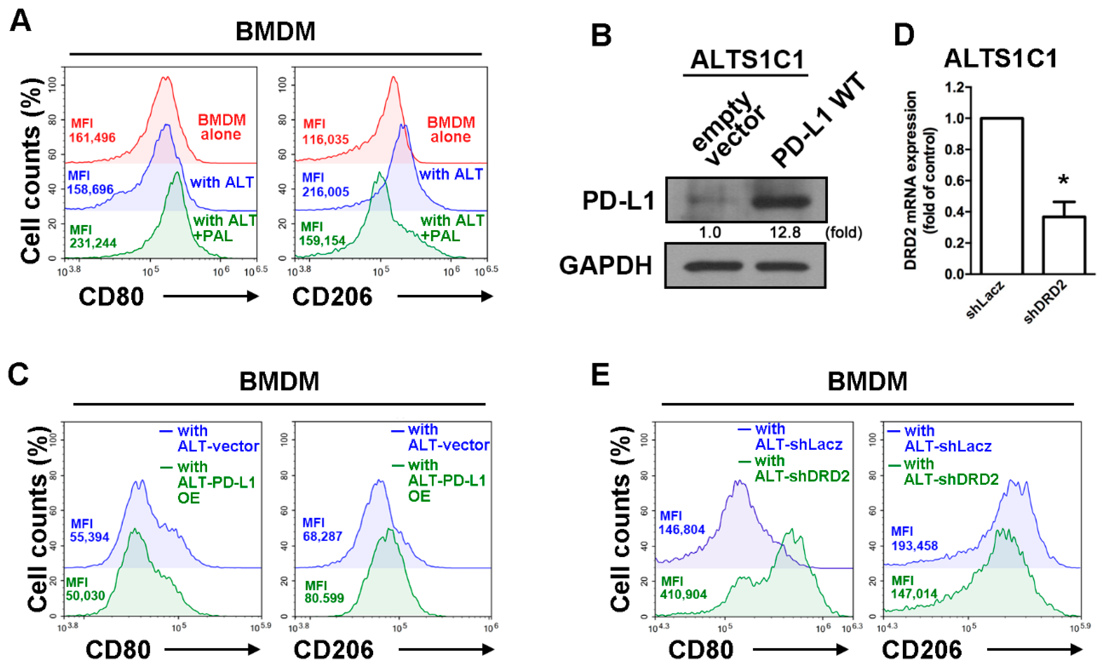 Cancers 13 04357 g003