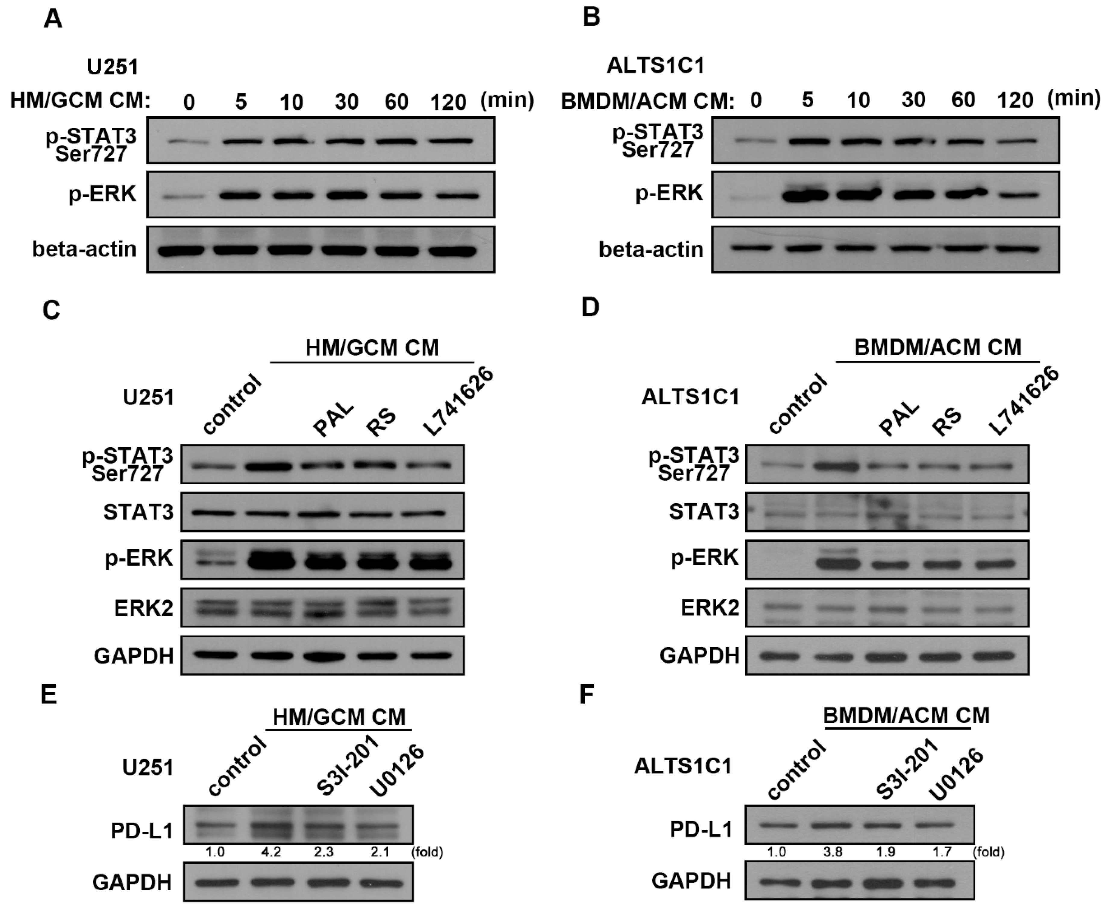 Cancers 13 04357 g006