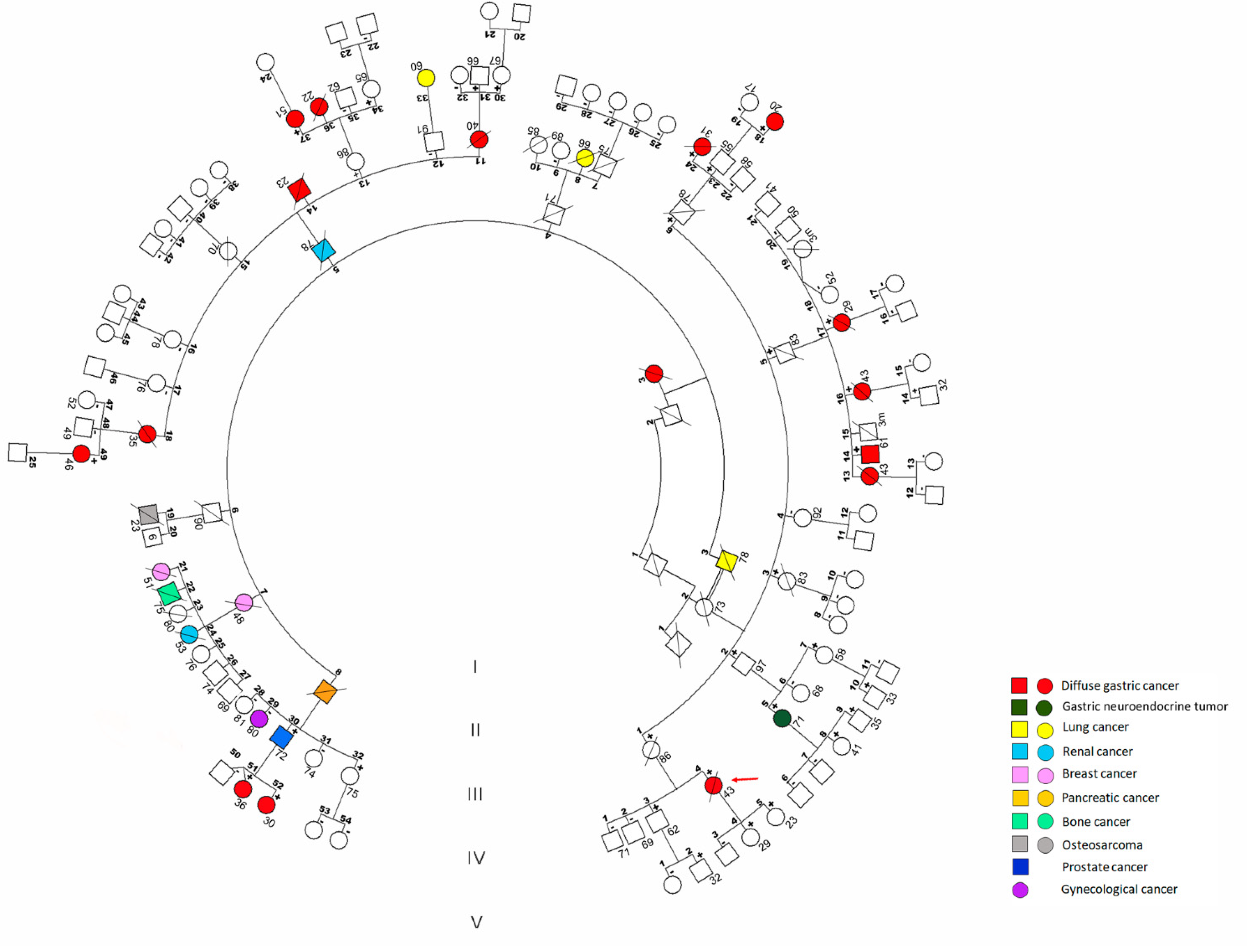 Cancers 13 04359 g001