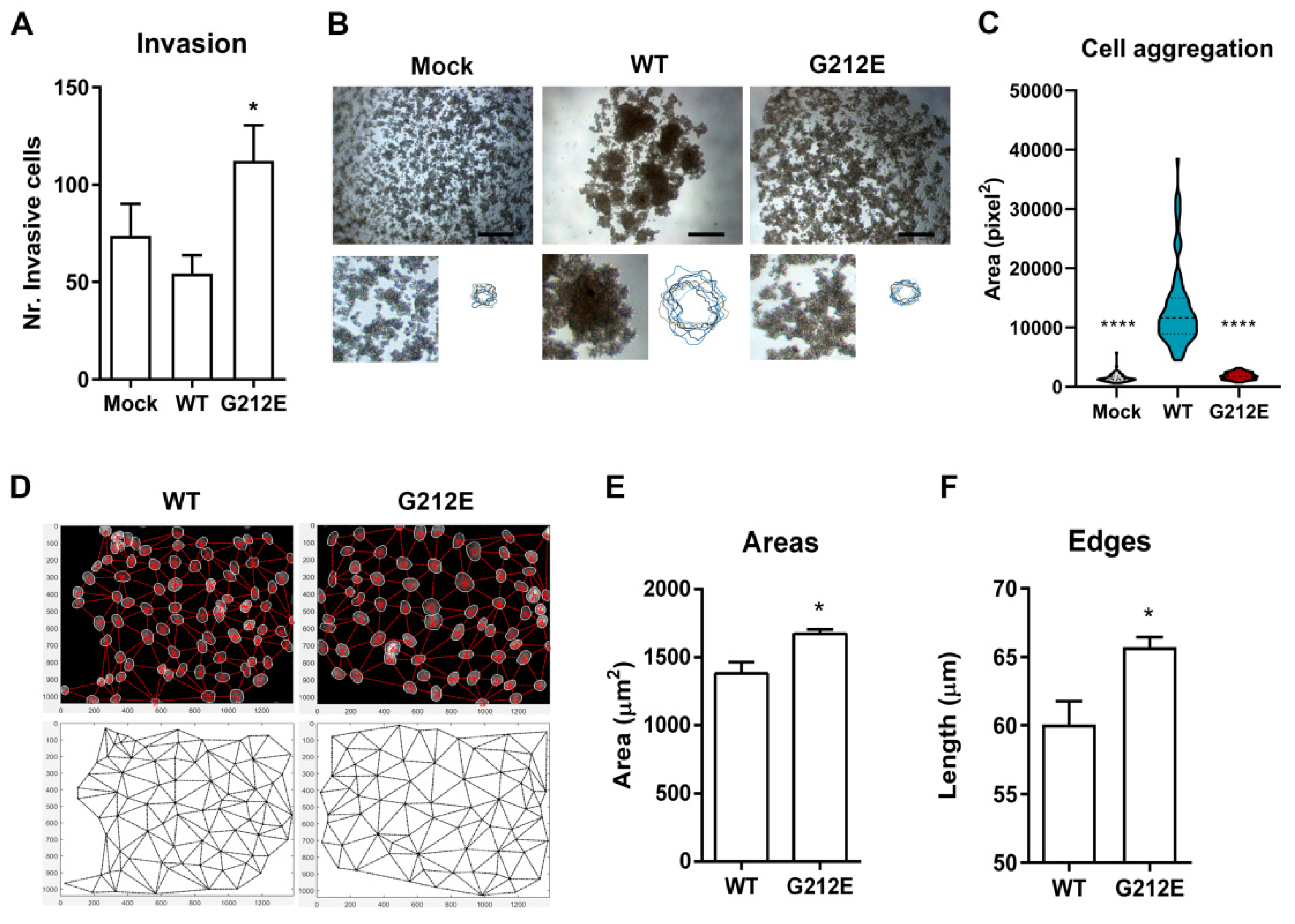 Cancers 13 04359 g004