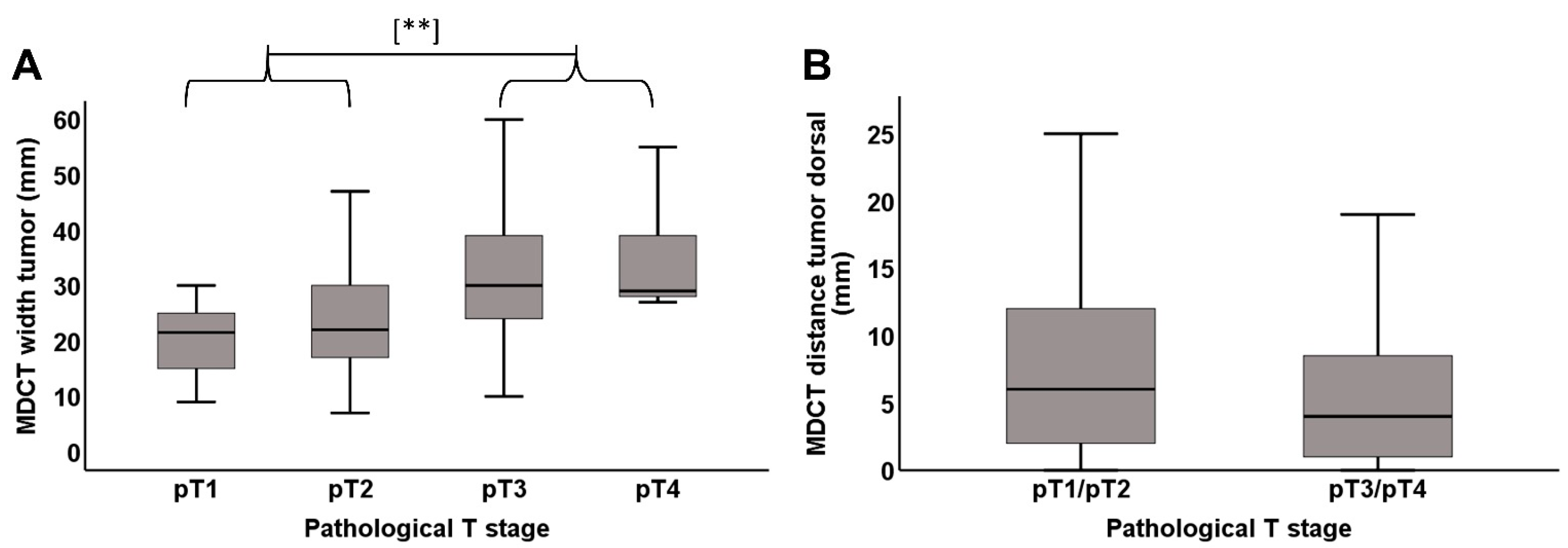 Cancers 13 04361 g005