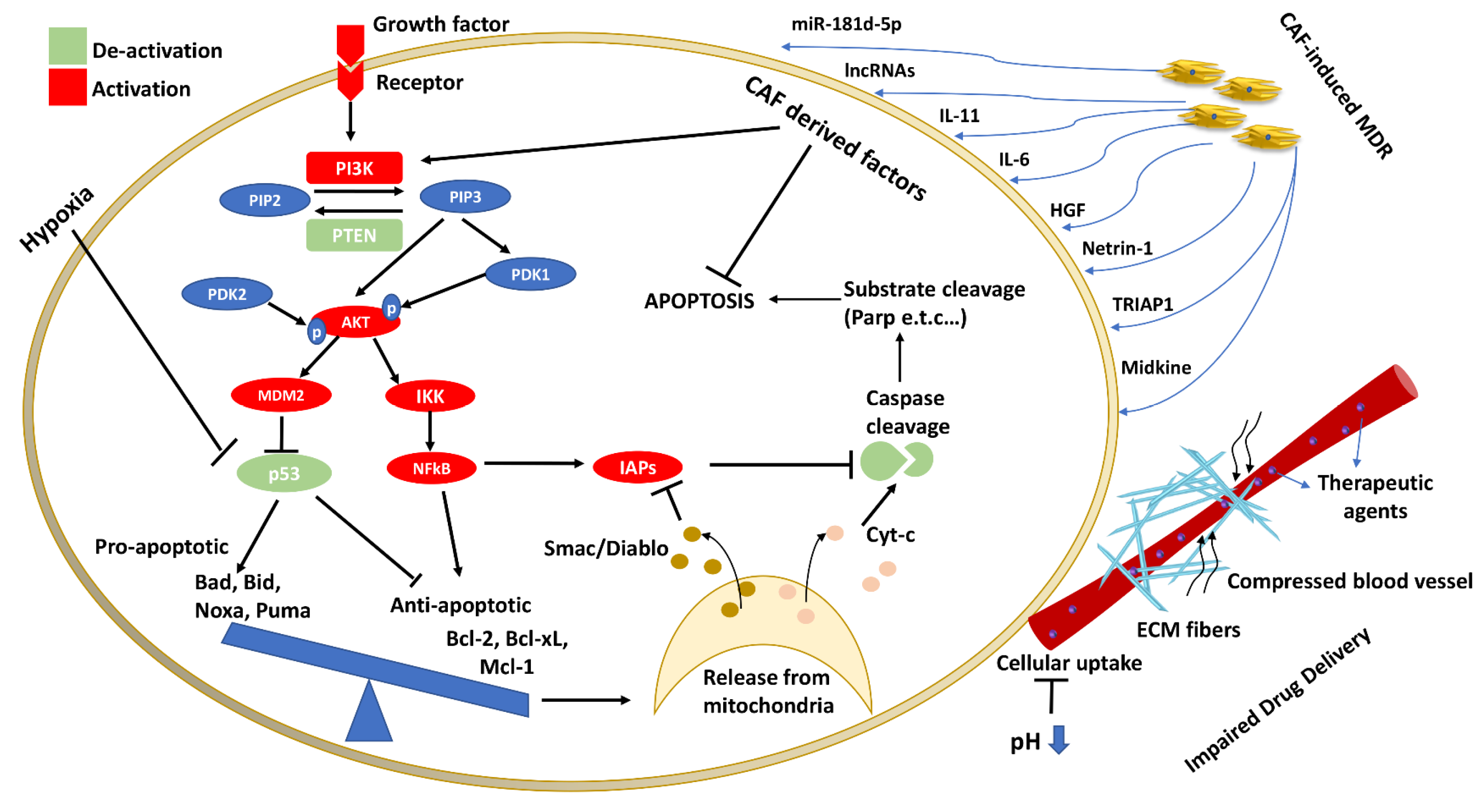 Cancers 13 04363 g002
