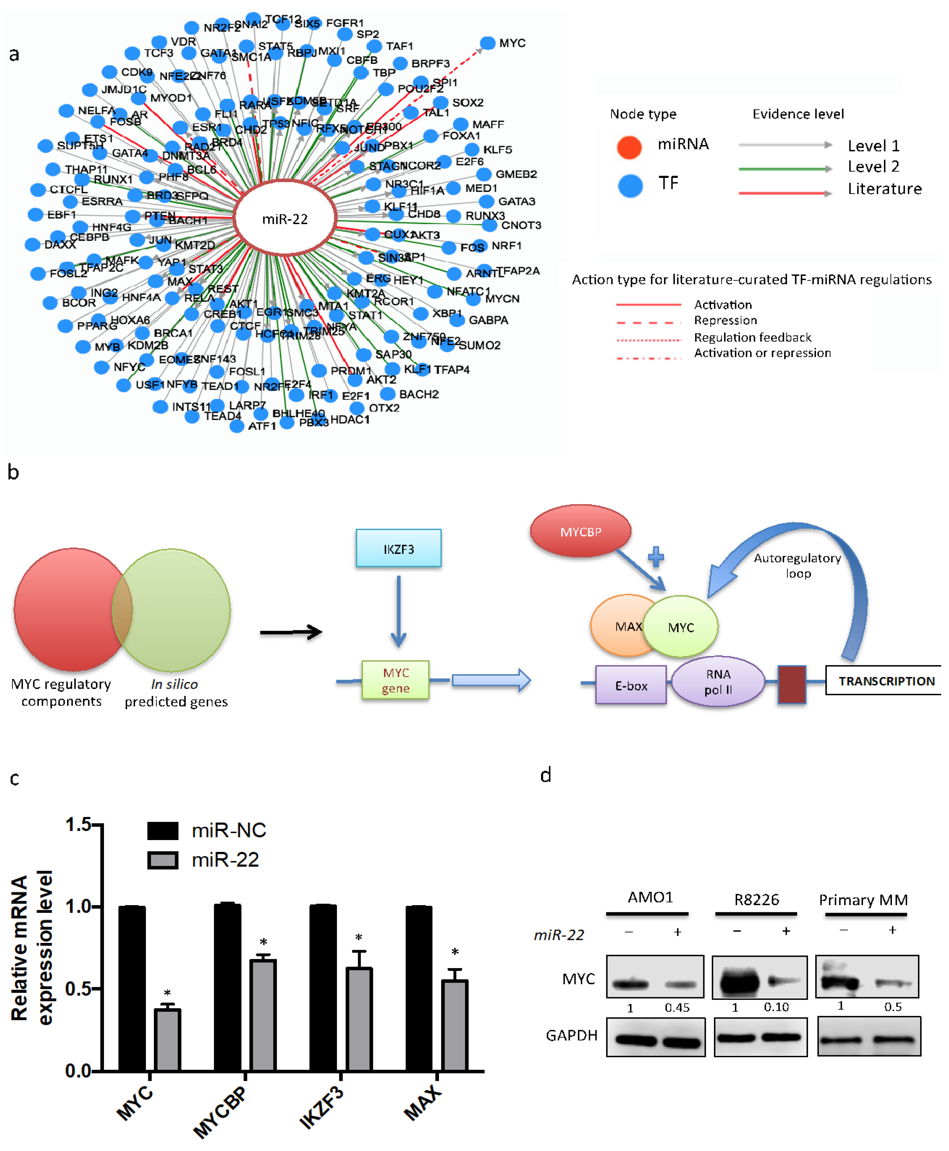 Cancers 13 04365 g003