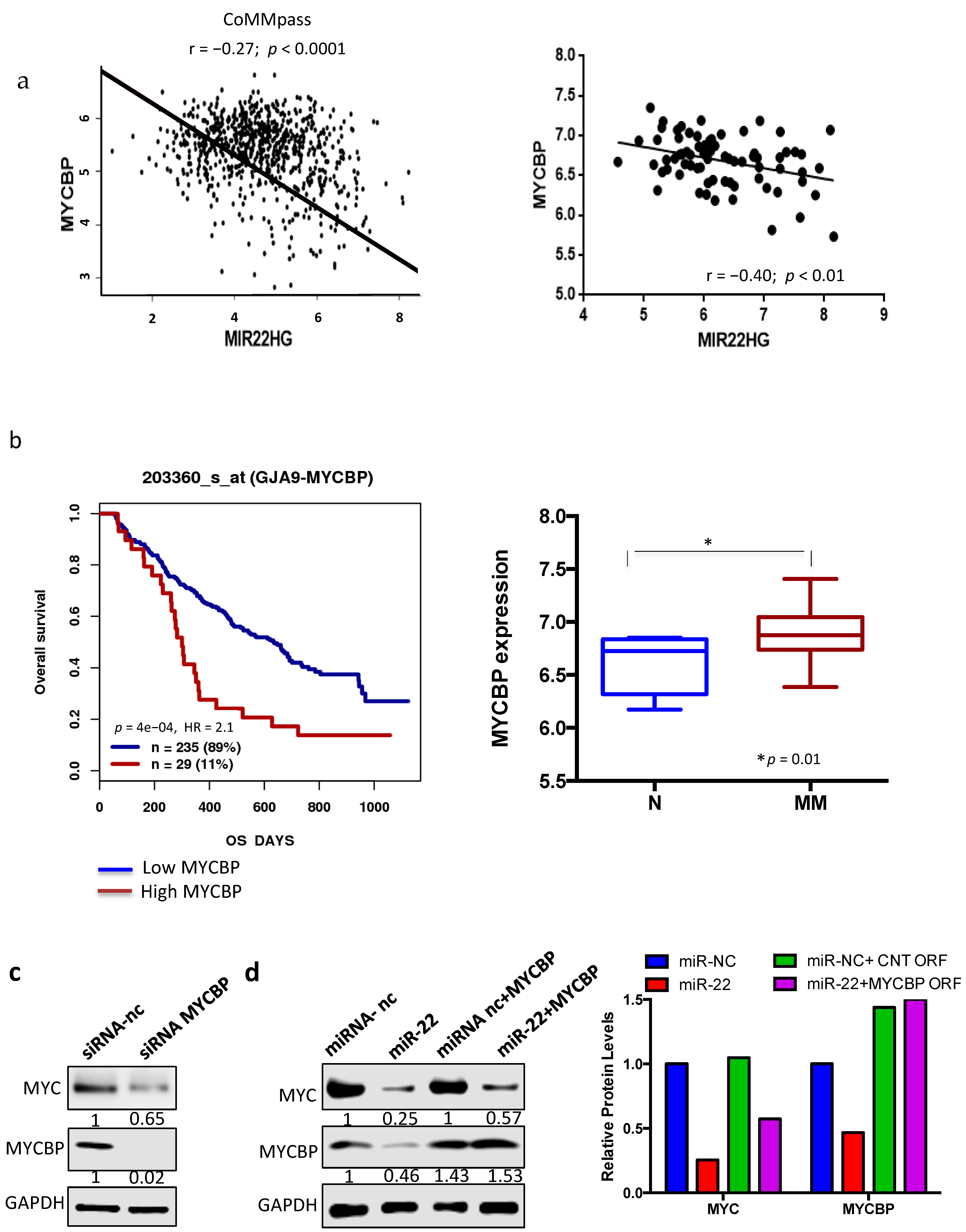 Cancers 13 04365 g004