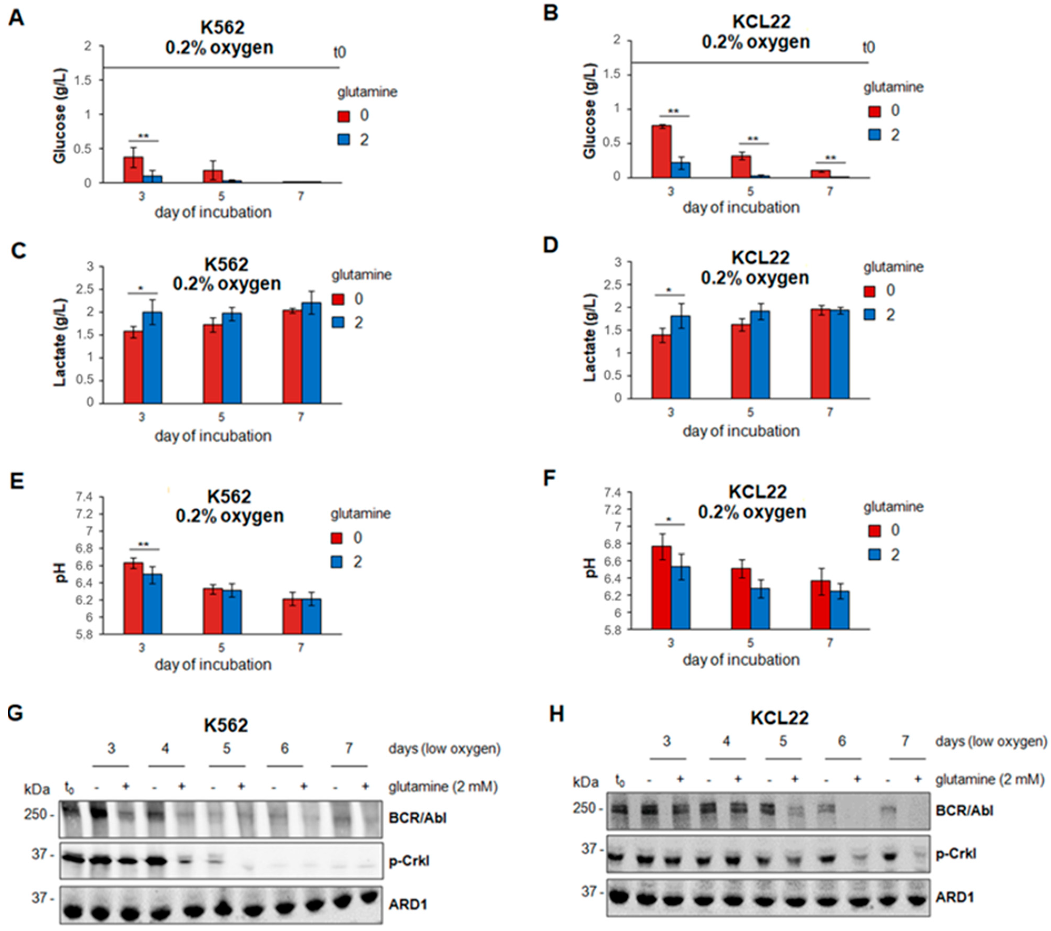Cancers 13 04372 g002 Cancers 13 04372 g002