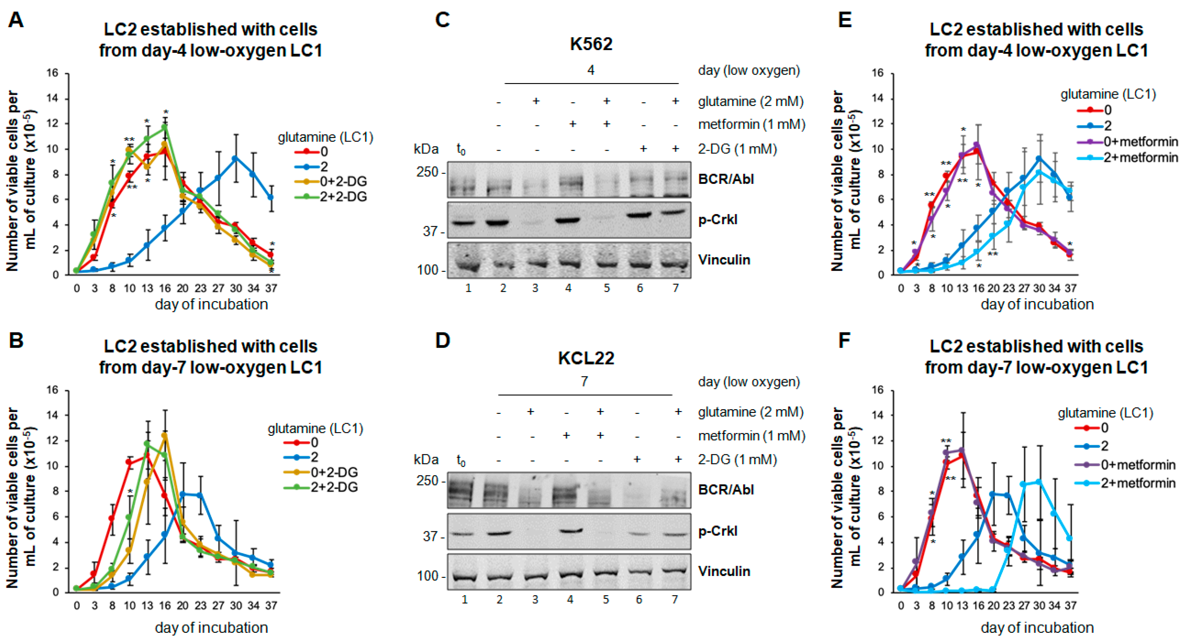 Cancers 13 04372 g004 Cancers 13 04372 g004