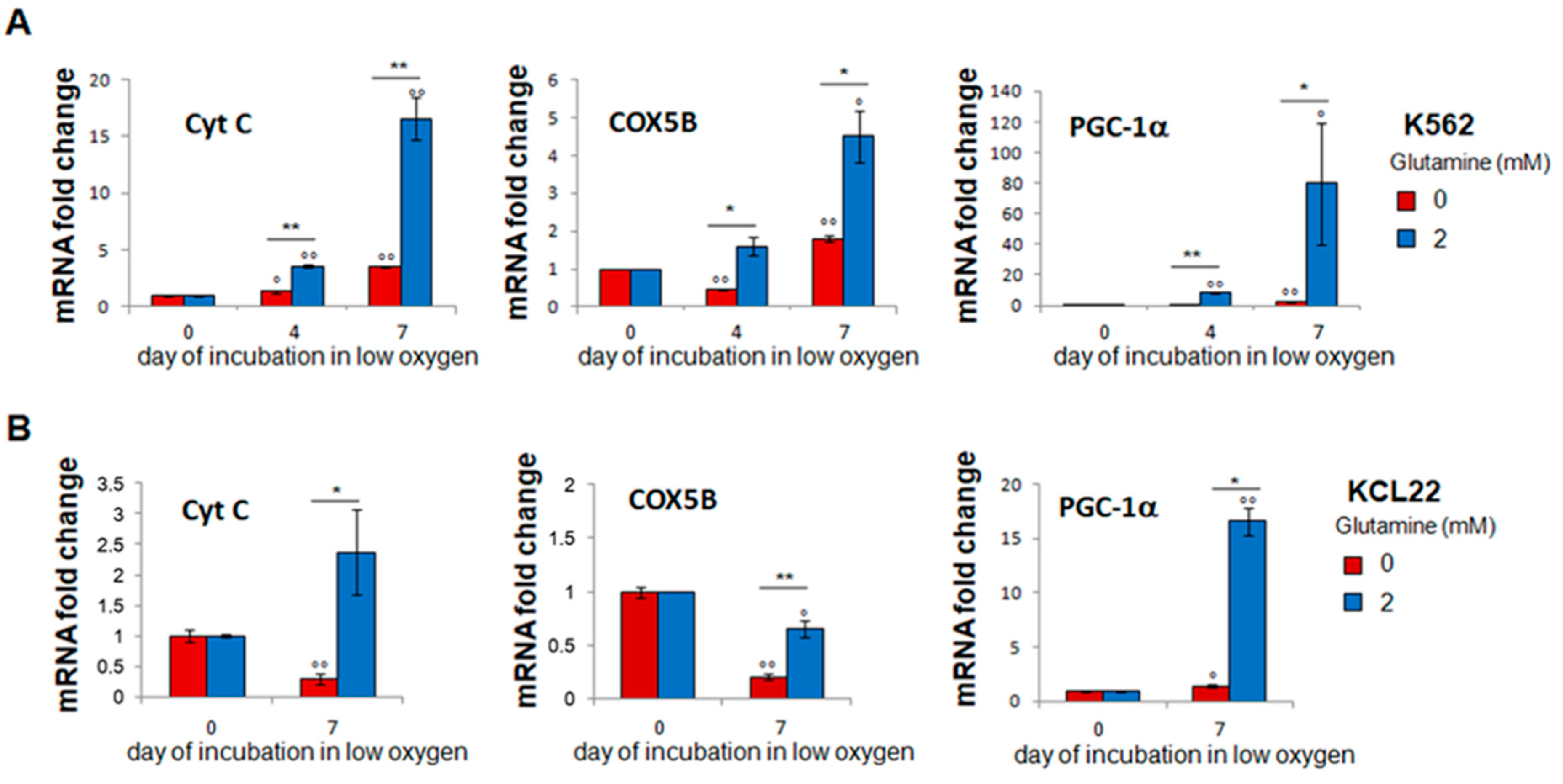 Cancers 13 04372 g006 Cancers 13 04372 g006
