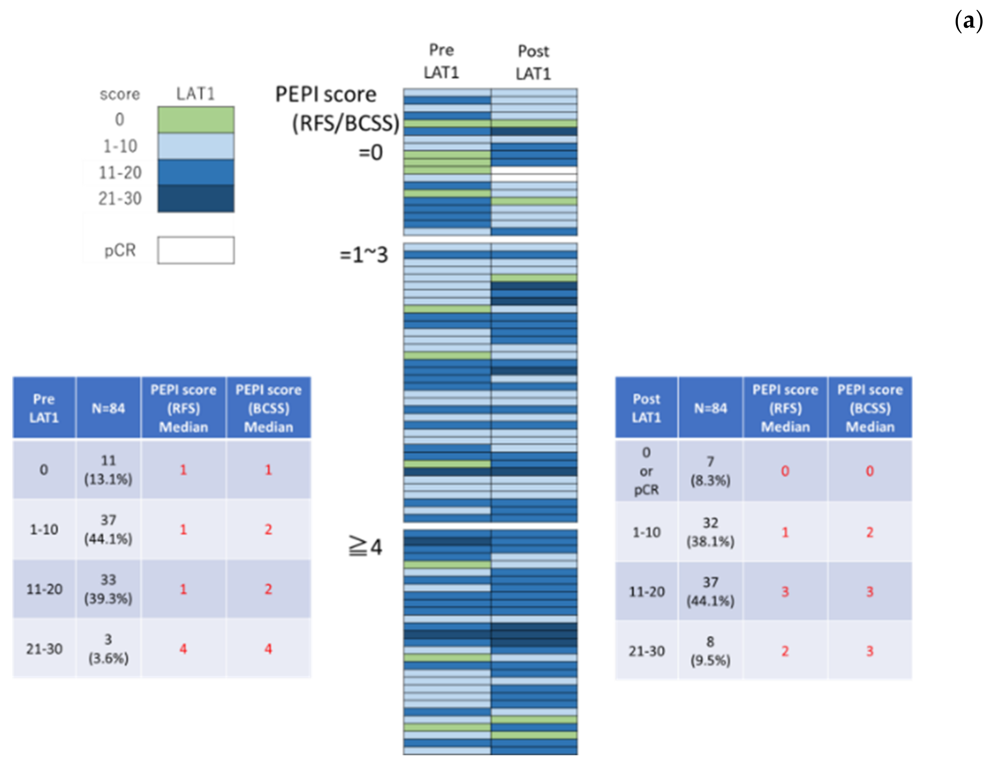 Cancers 13 04375 g003a