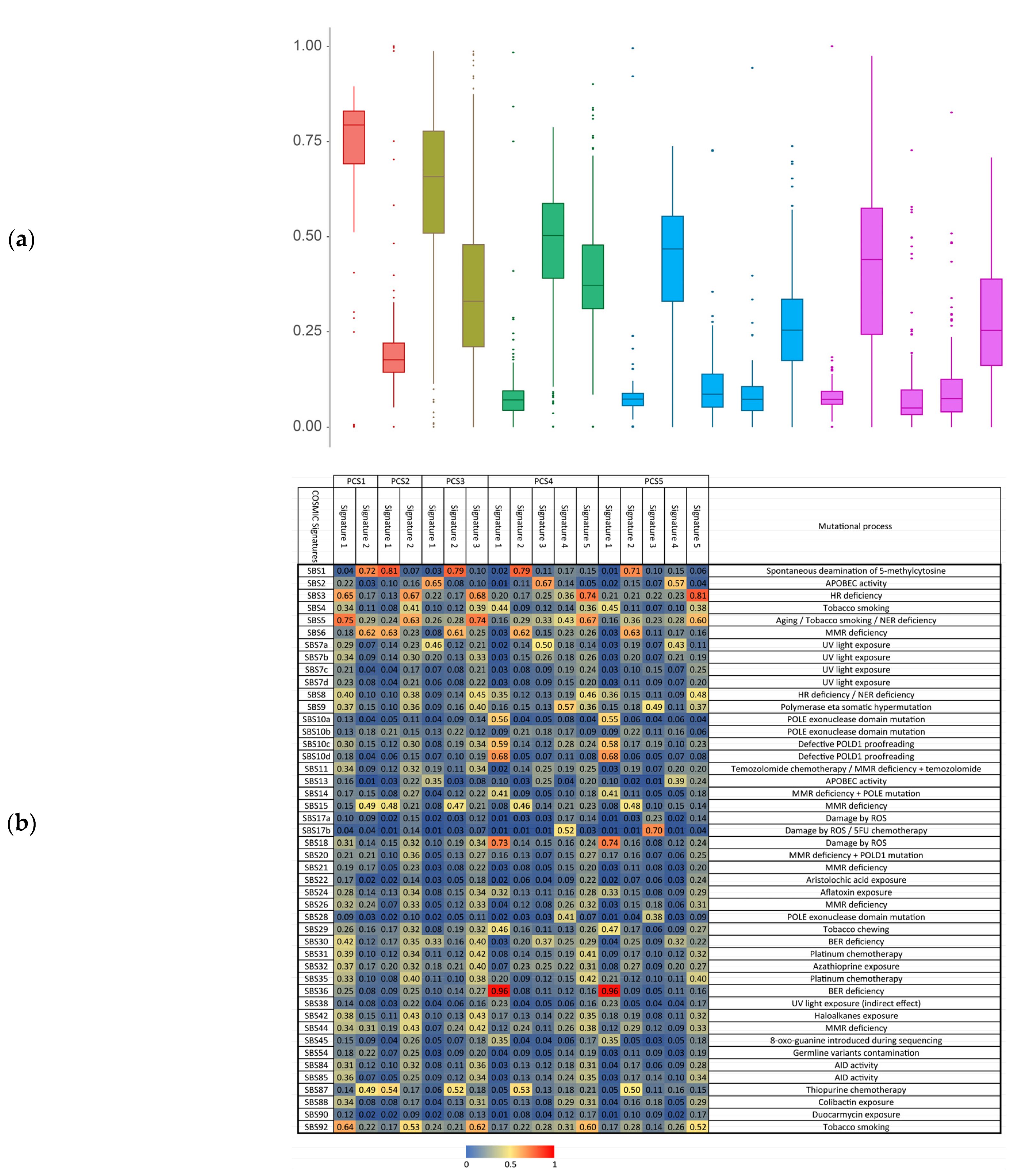 Cancers 13 04376 g004