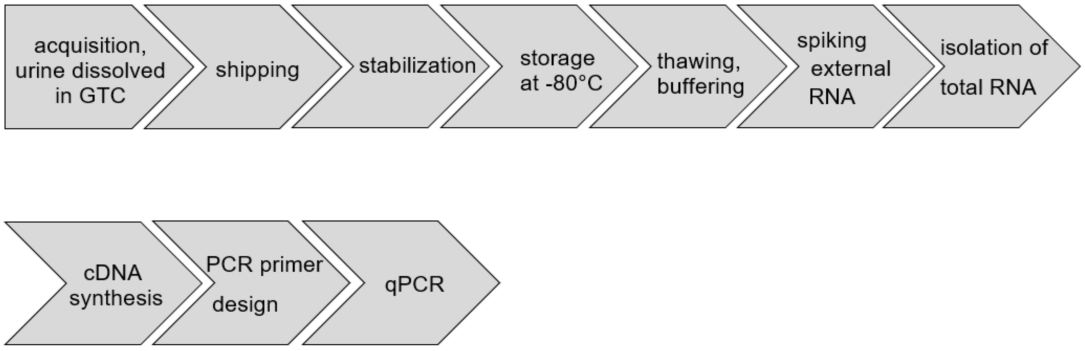Cancers 13 04381 g001