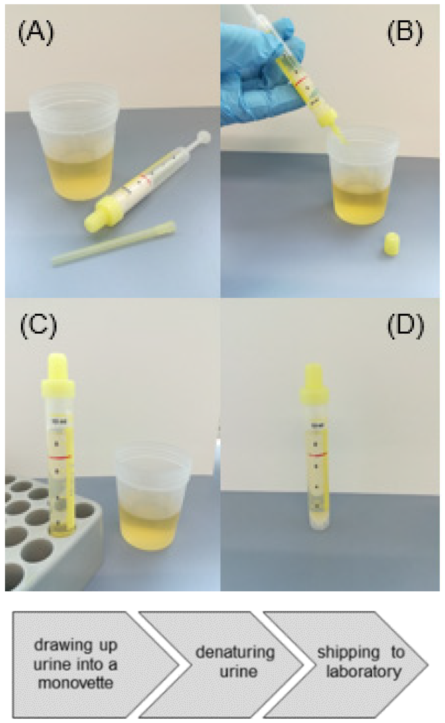 Cancers 13 04381 g002