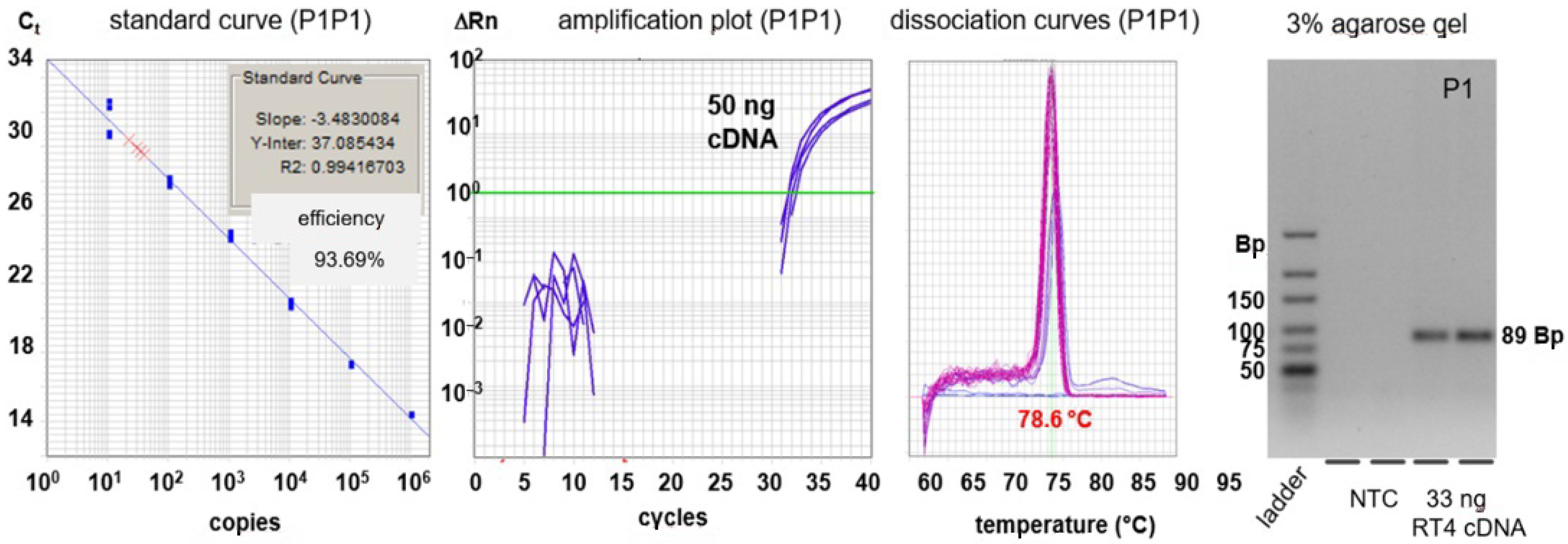 Cancers 13 04381 g006