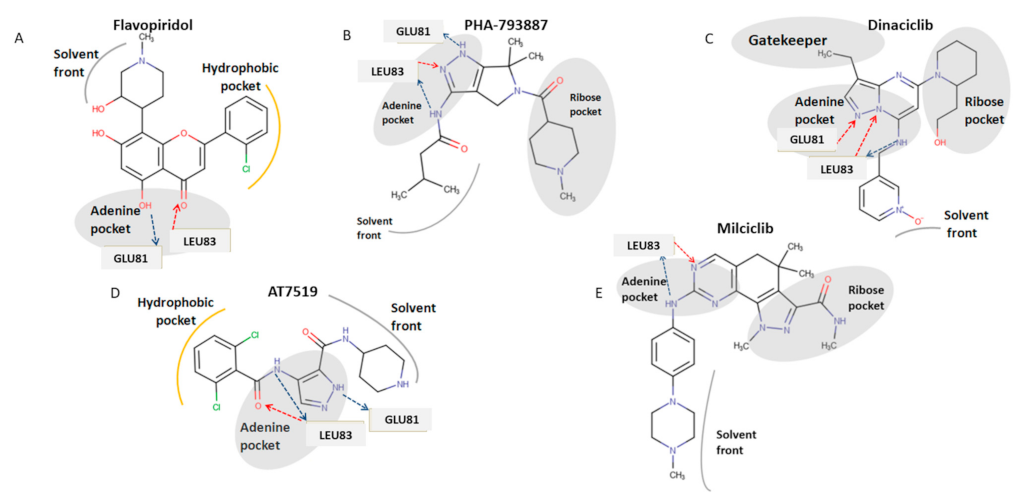 Cancers 13 04389 g005