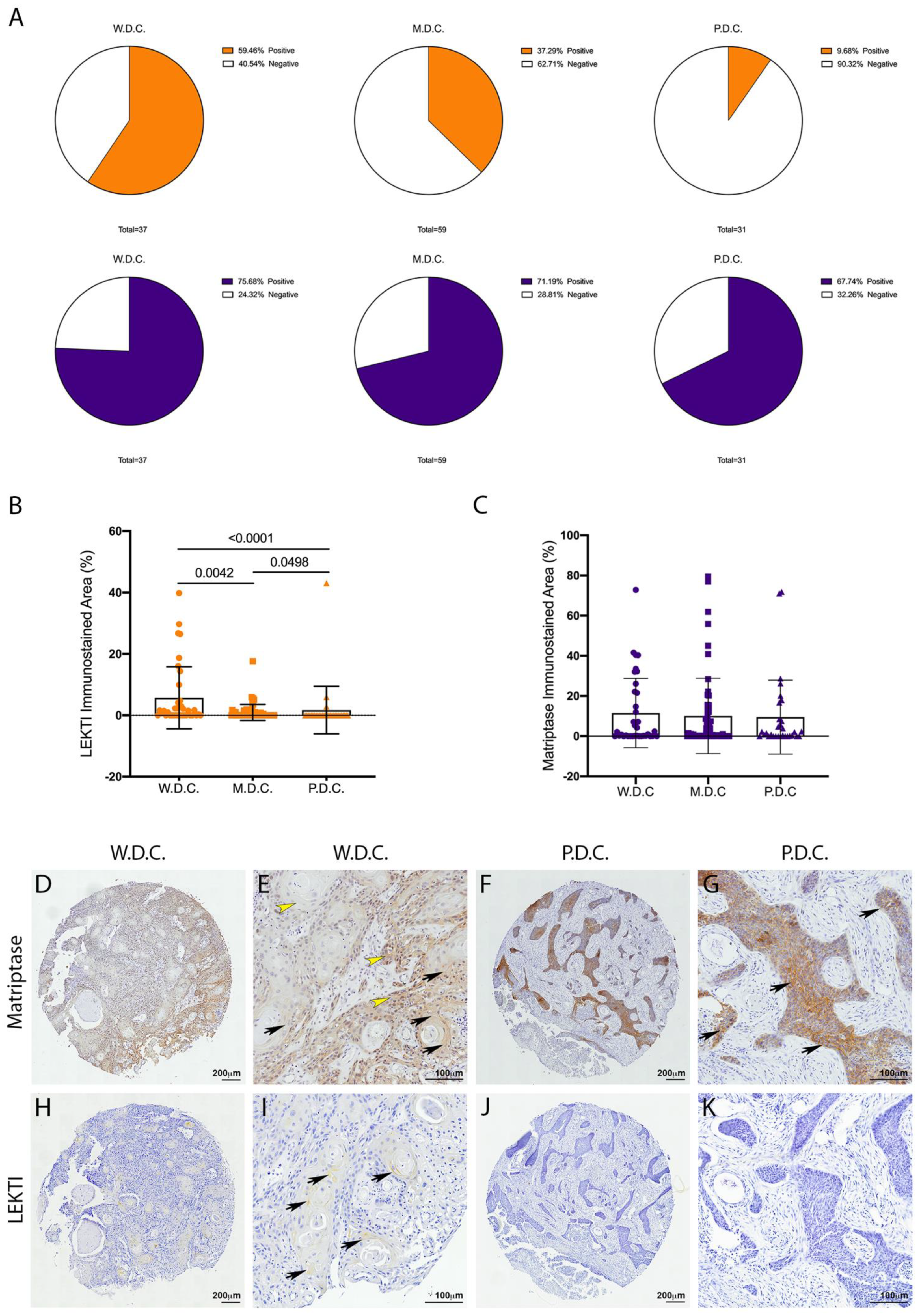 Cancers 13 04395 g001